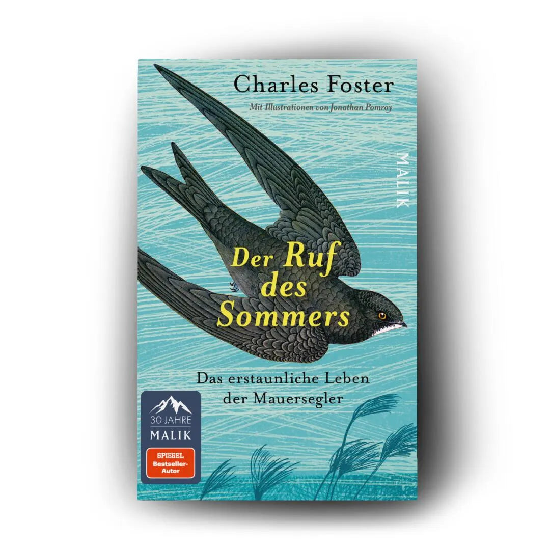 Produktansicht: Der Ruf des Sommers (Taschenbuch)