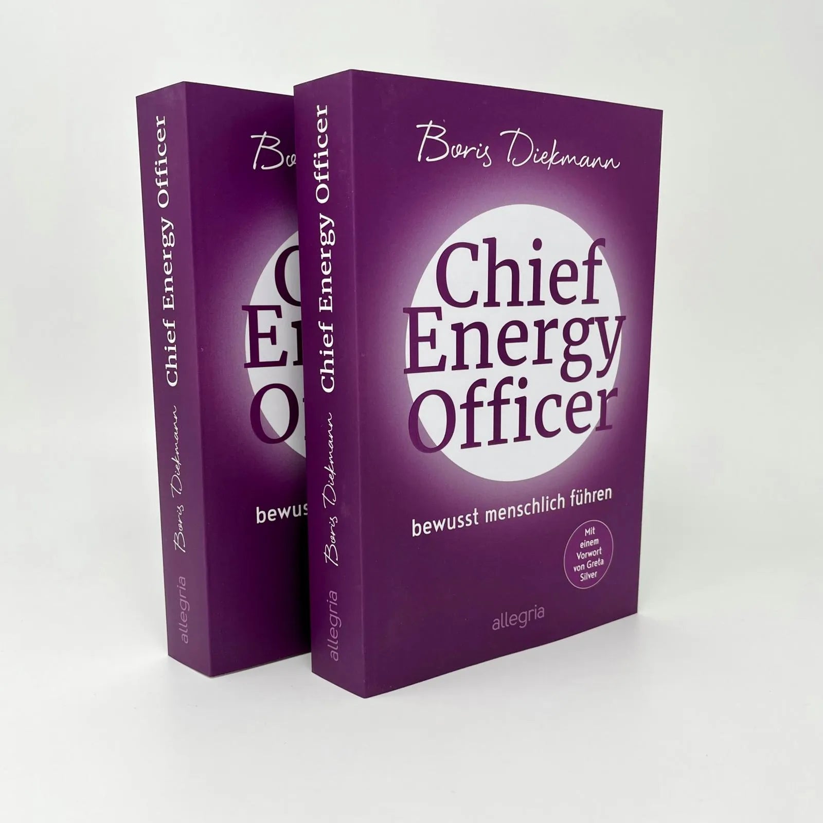 Detailansicht: Chief Energy Officer (Paperback)