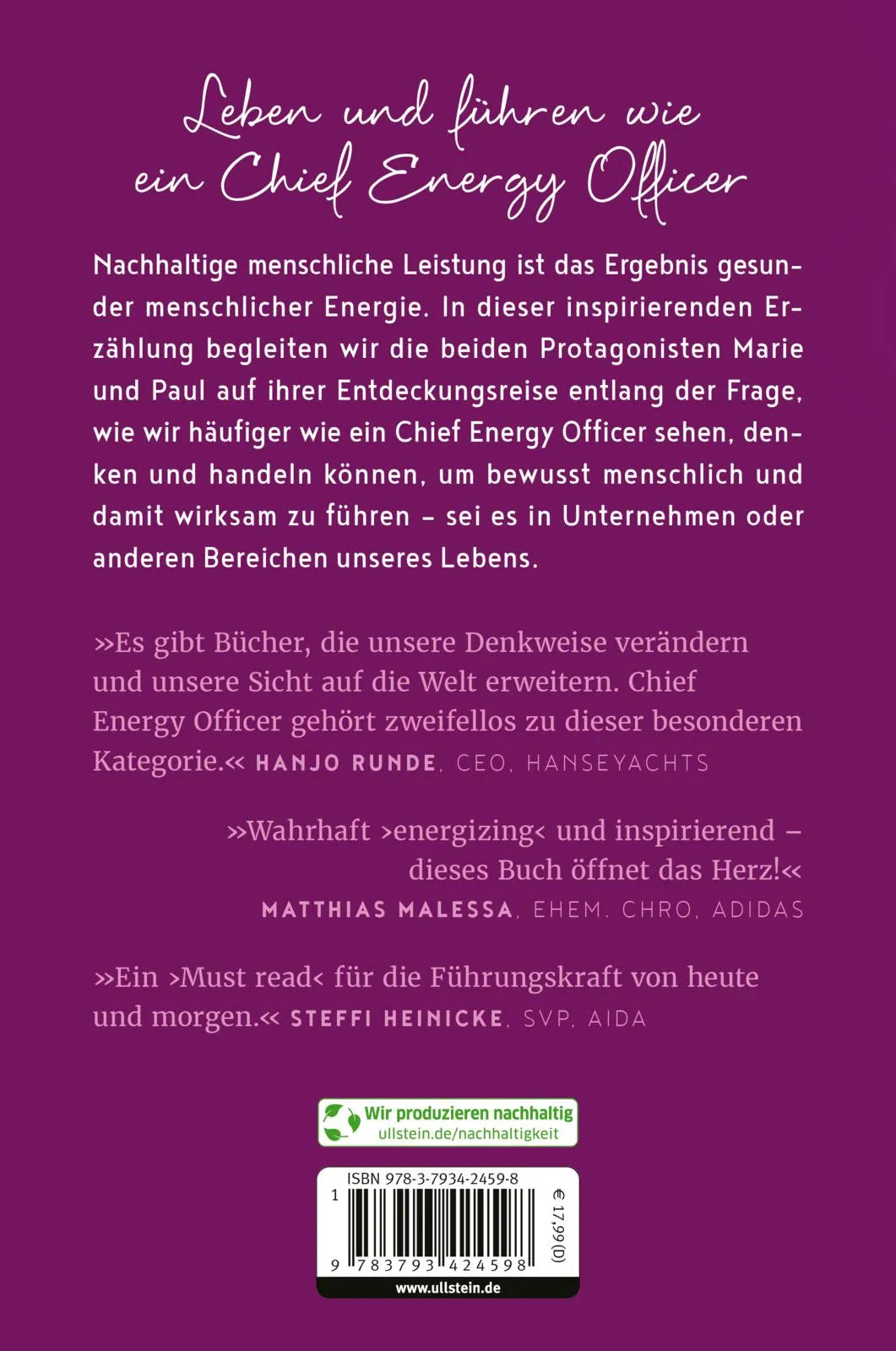 Rückseite: Chief Energy Officer (Paperback)
