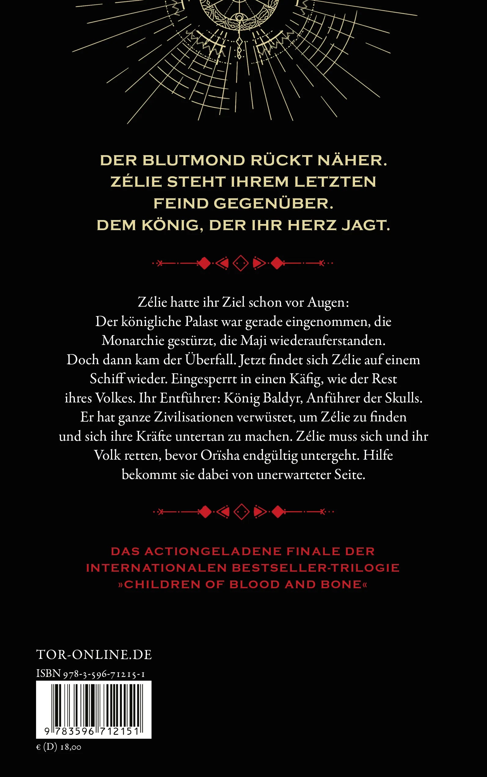 Buchrückseite von 'Children of Anguish and Anarchy' mit Klappentext - Paperback