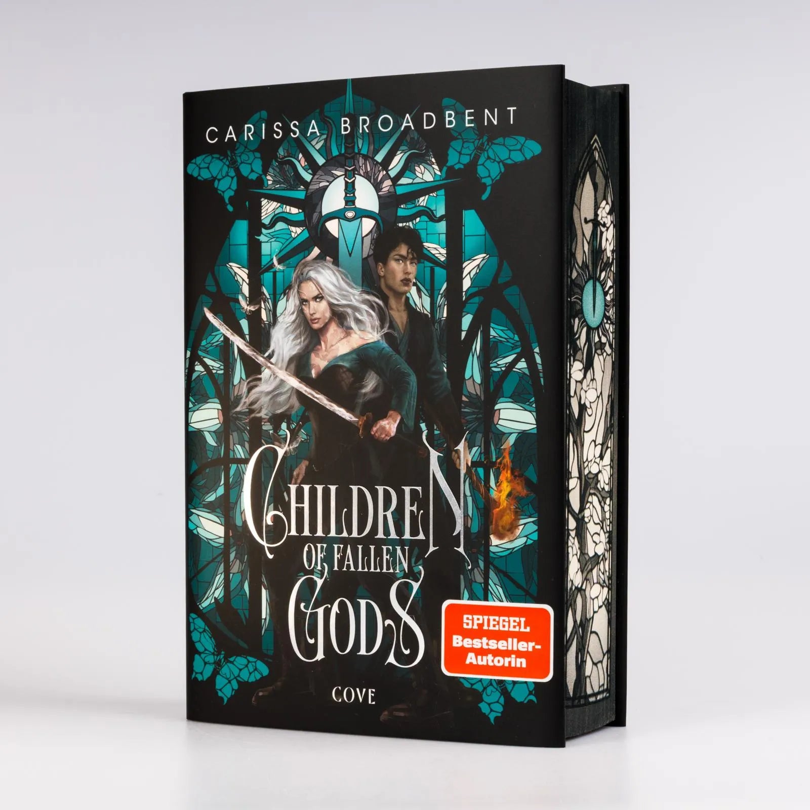 Abbildung von 'Children of Fallen Gods'
