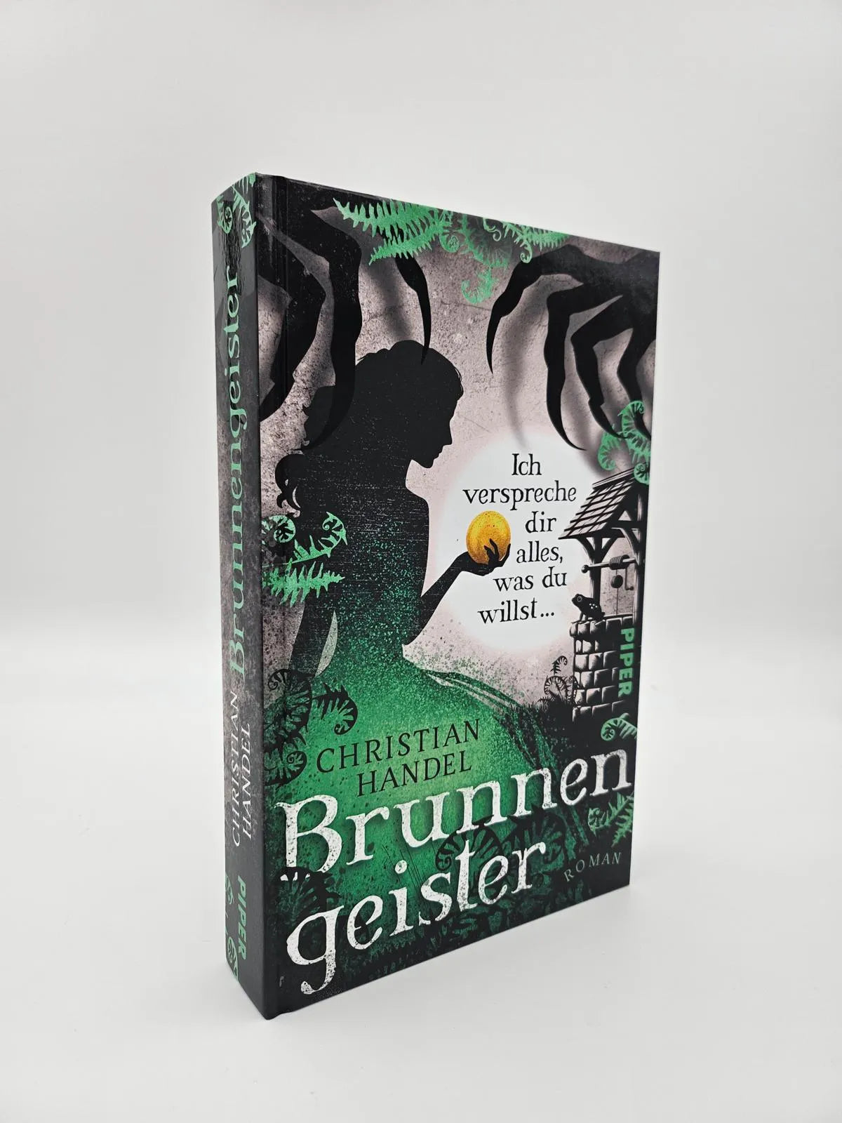 Produktansicht: Brunnengeister – Ich verspreche dir alles, was du willst ... (Gebundene Ausgabe)