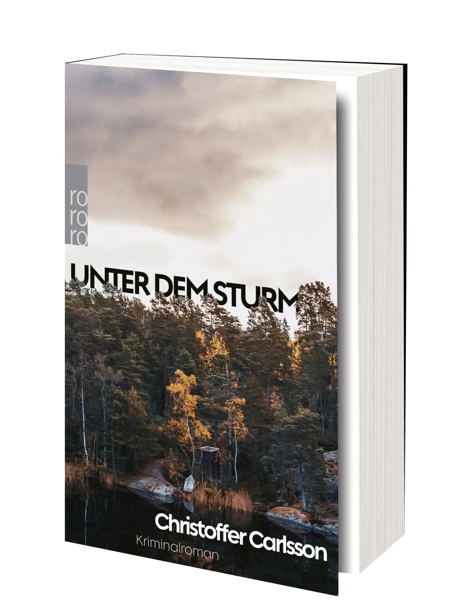 Produktansicht: Unter dem Sturm (Taschenbuch)