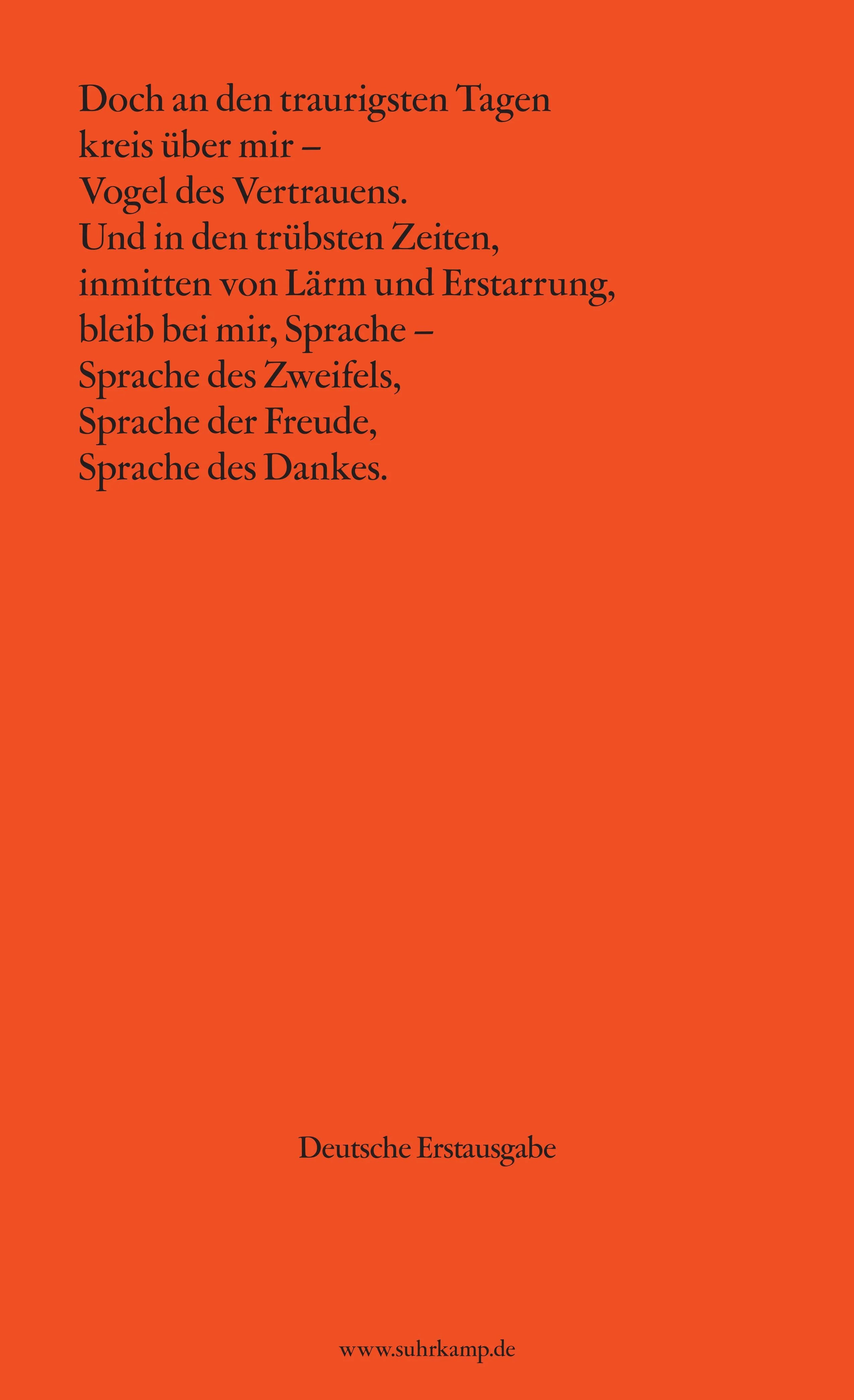 Buchrückseite von 'Chronik des eigenen Atems' mit Klappentext - Taschenbuch