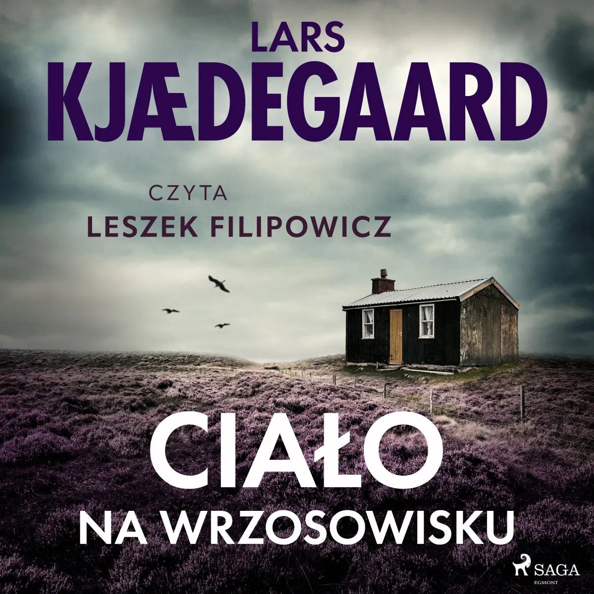 Cover: Ciało na wrzosowisku (Hörbuch Download) von Lars Kjædegaard