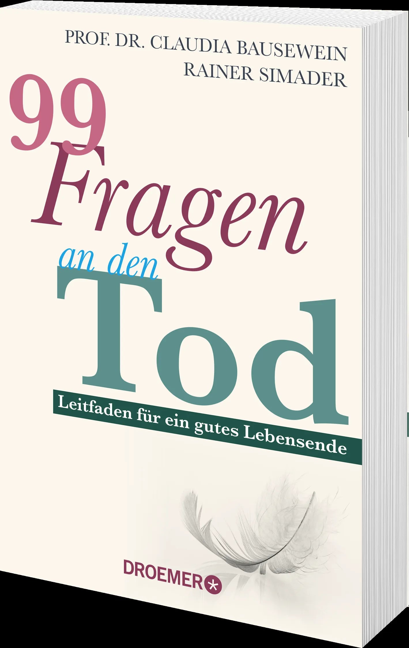 Produktansicht: 99 Fragen an den Tod (Taschenbuch)