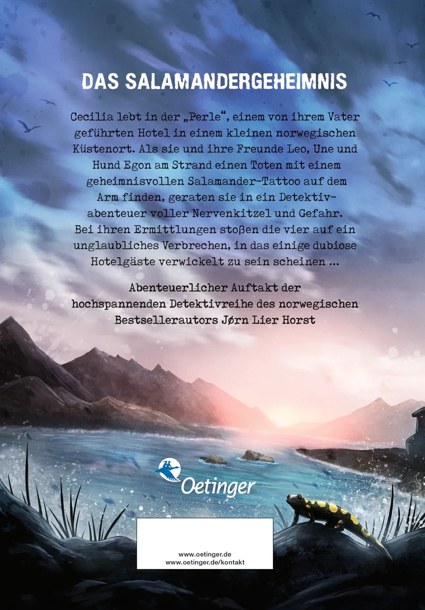 Buchrückseite von 'CLUE 1. Schiffbruch vor der Felseninsel' mit Klappentext - Gebundene Ausgabe