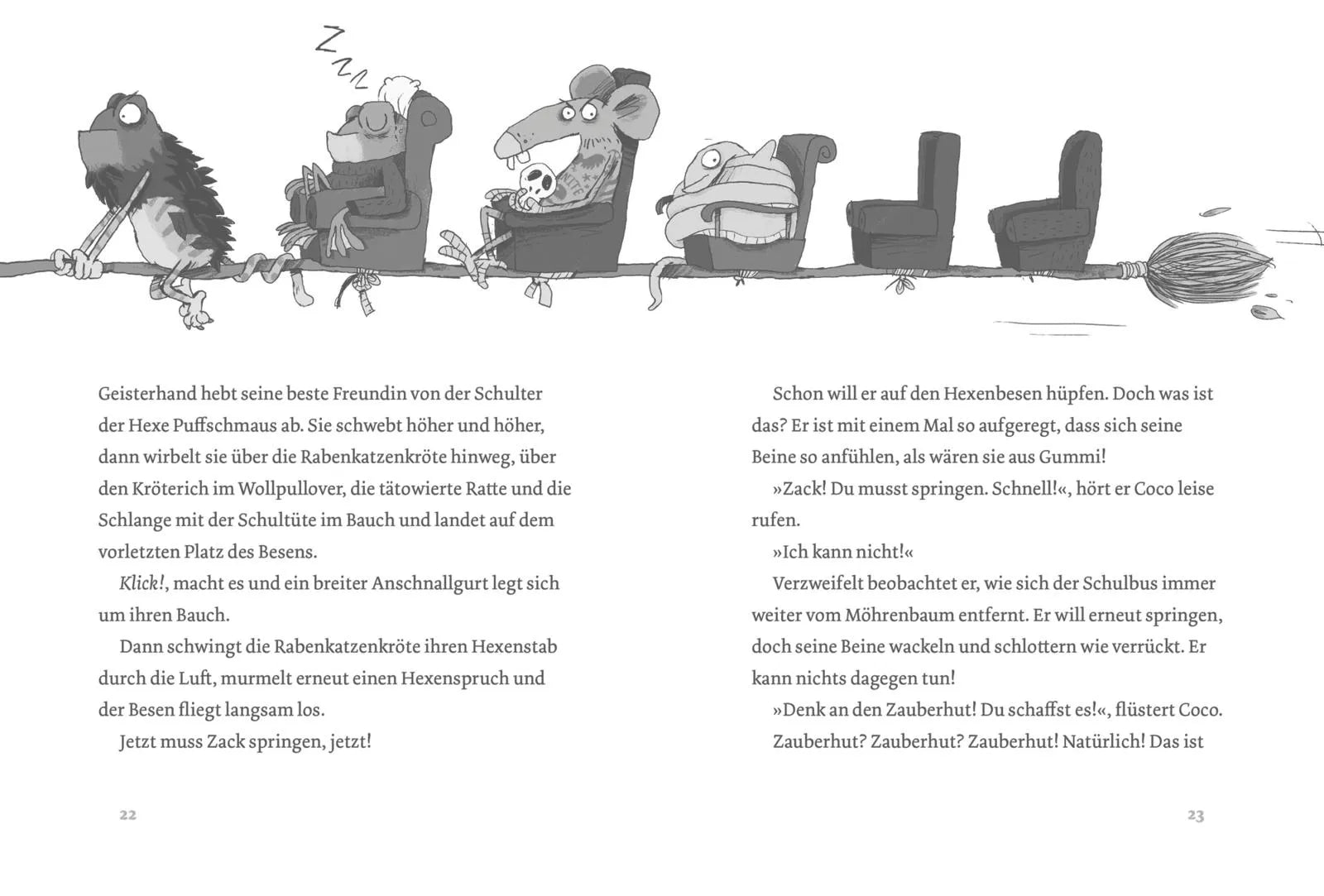 Detailansicht: Coco und Zack: Coco und Zack – Im Internat der Hexentiere (Taschenbuch)
