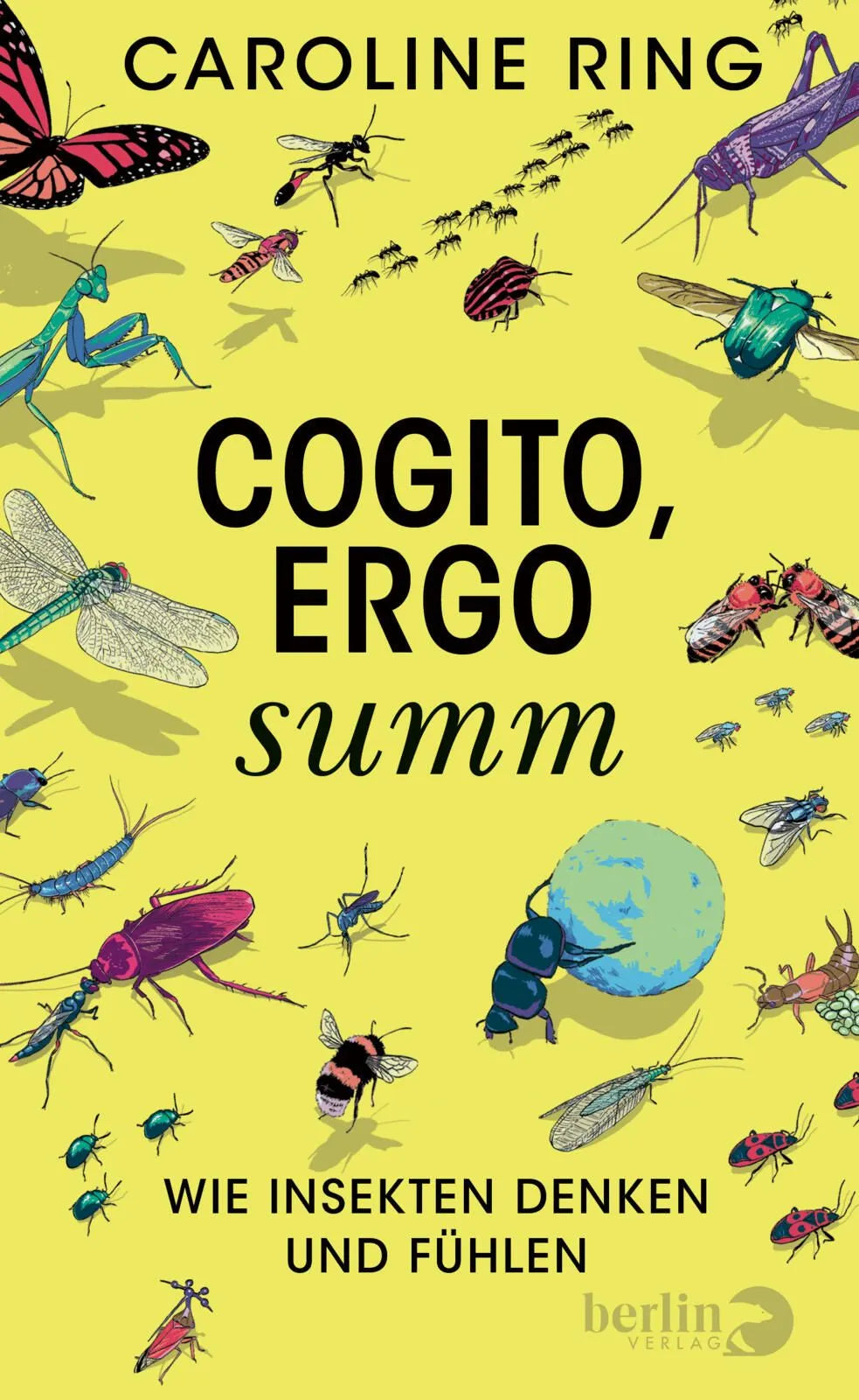 Cover: Cogito, ergo summ (Hardcover) von Caroline Ring