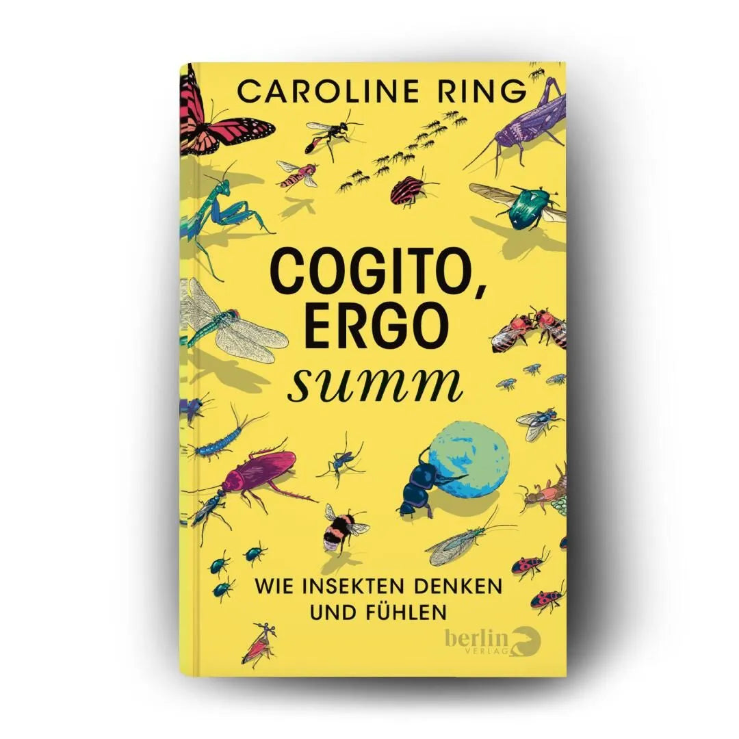 Detailansicht: Cogito, ergo summ (Hardcover)