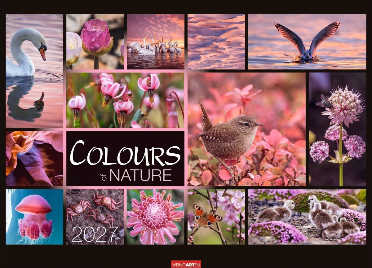 Wandkalender: Colours of Nature Kalender 2027