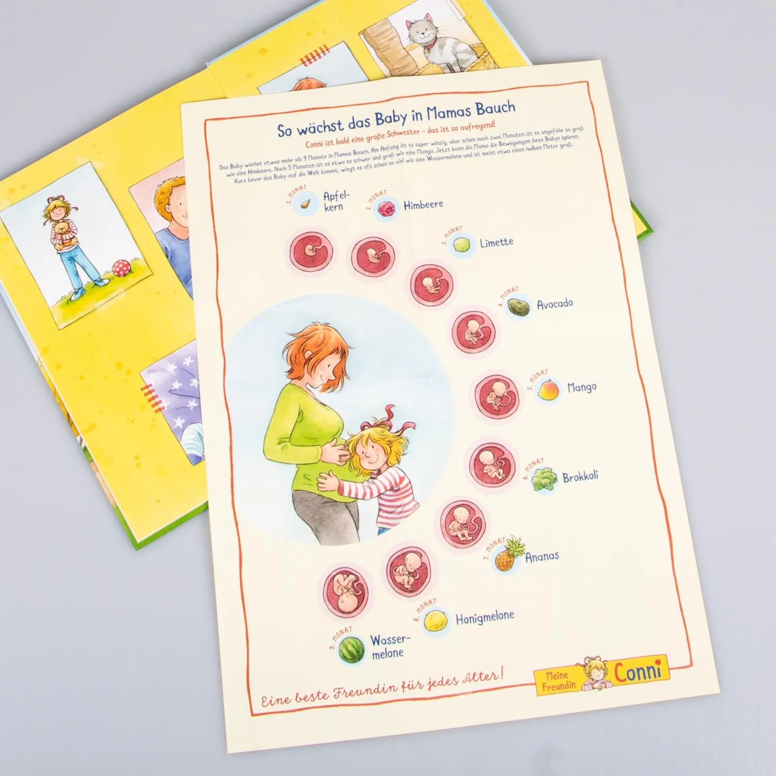 Liane Schneider - Conni-Bilderbücher: Conni und das neue Baby