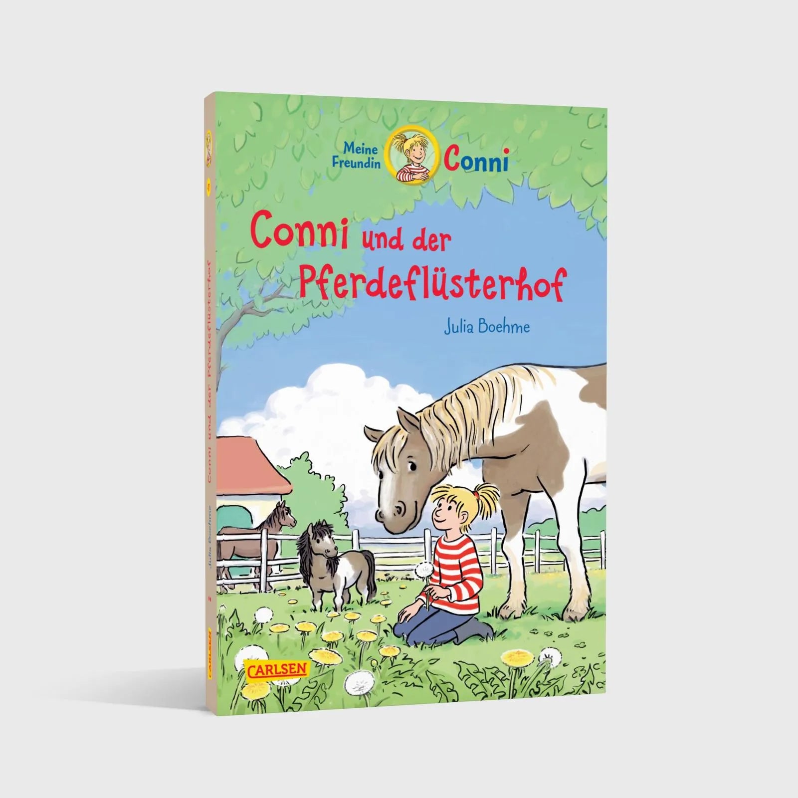 Abbildung von 'Conni Erzählbände 47: Conni und der Pferdeflüsterhof'