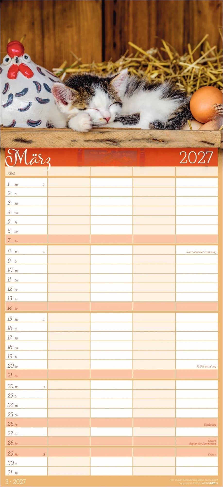 Cool Cats Familienplaner 2027 – Ansicht