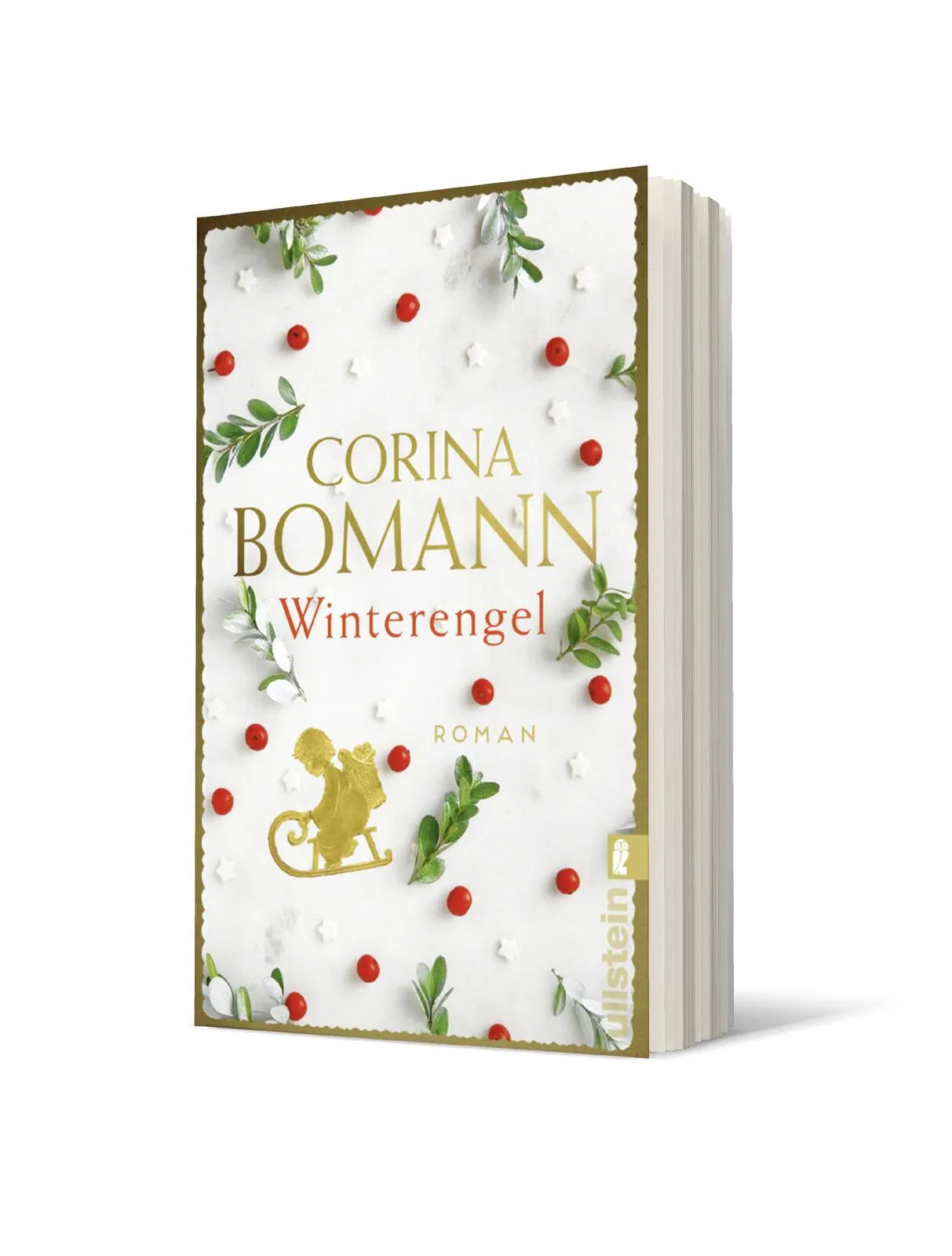 Produktansicht: Winterengel (Taschenbuch)