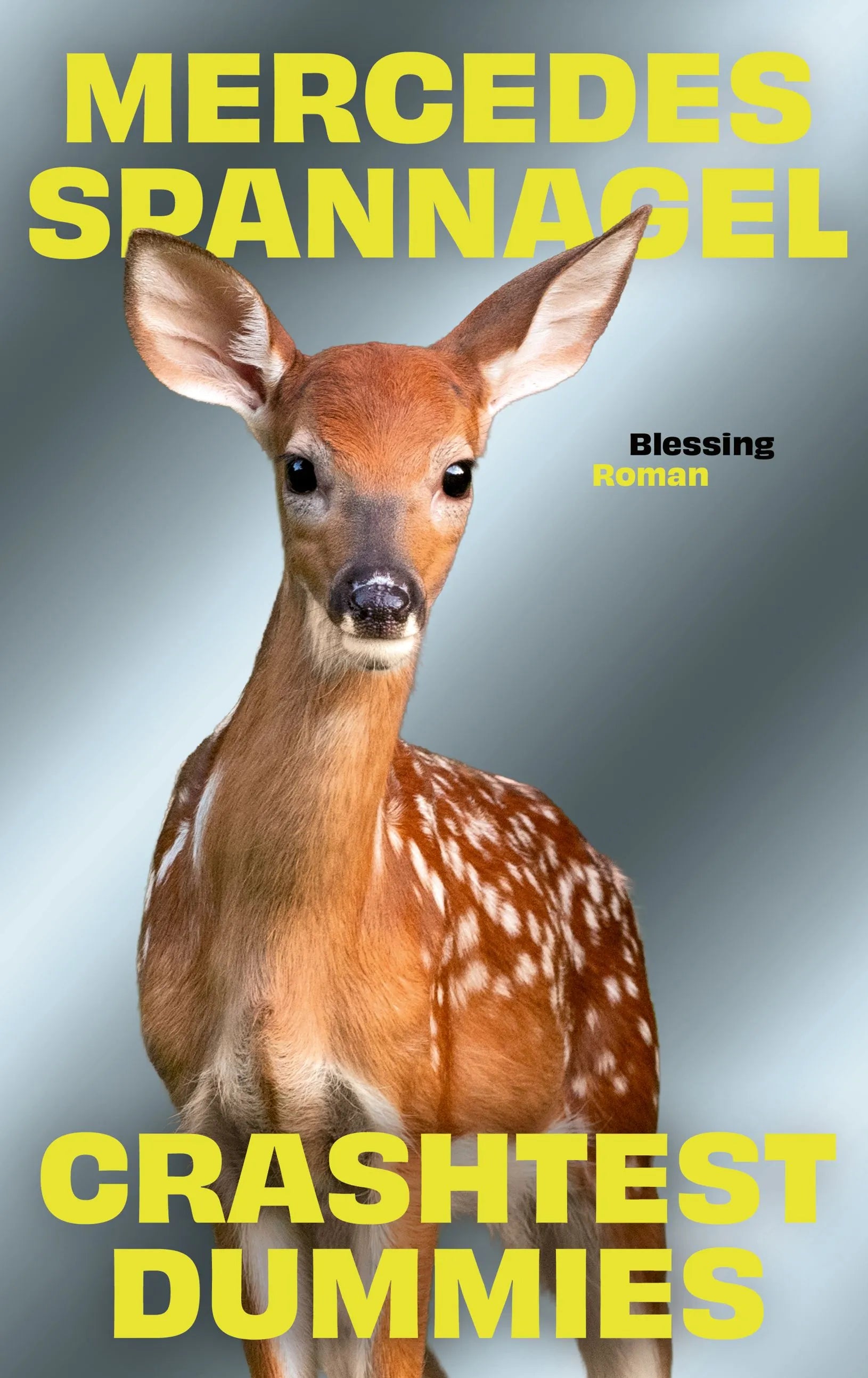 Cover: Crashtest Dummies (Hardcover) von Mercedes Spannagel