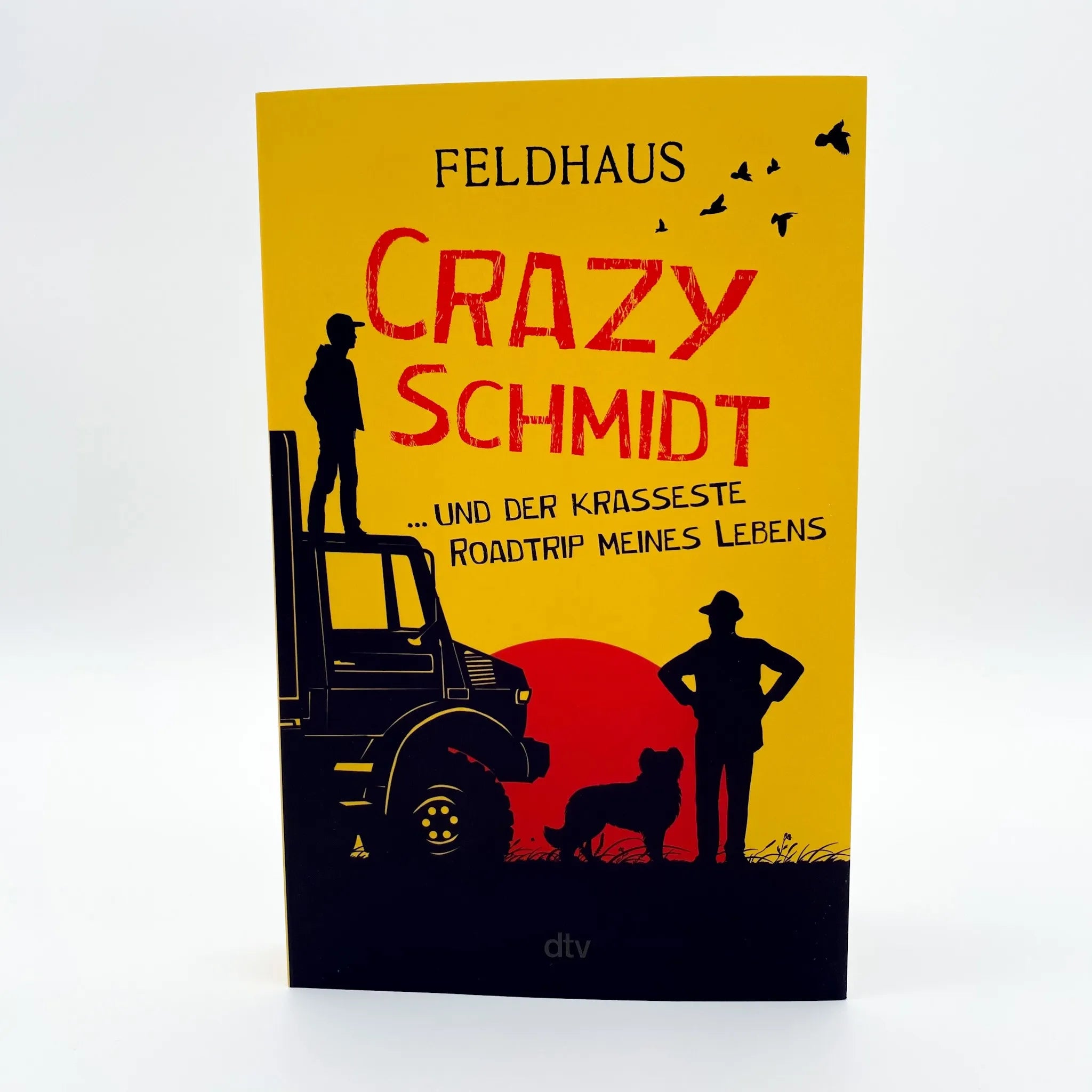 Hans-Jürgen Feldhaus - Crazy Schmidt … und der krasseste Roadtrip meines Lebens