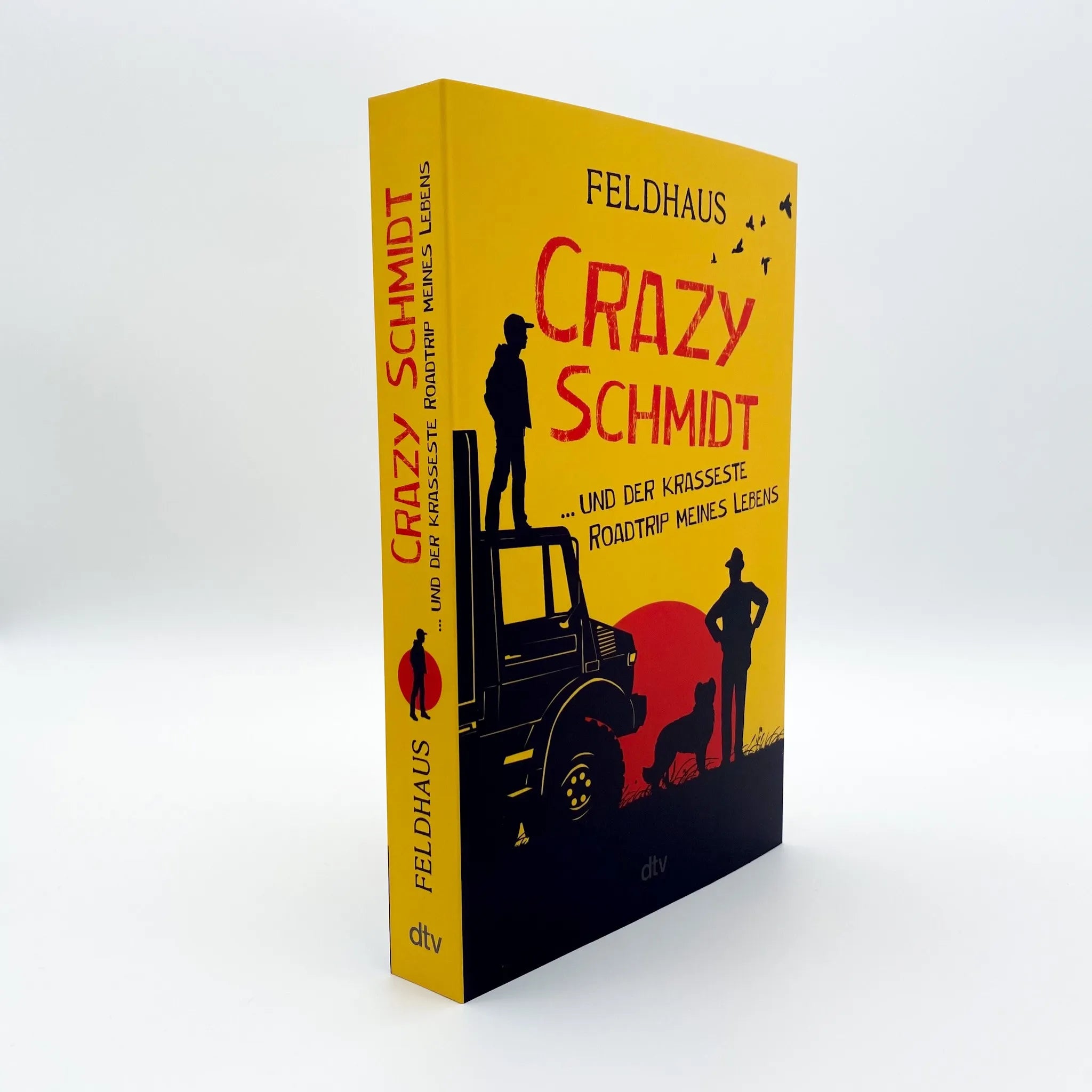 Abbildung von 'Crazy Schmidt … und der krasseste Roadtrip meines Lebens'