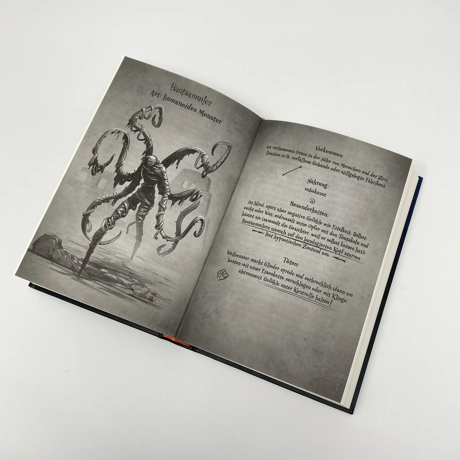 Produktansicht: Creepy Chronicles – Bloß nicht den Kopf verlieren! (Gebundene Ausgabe)