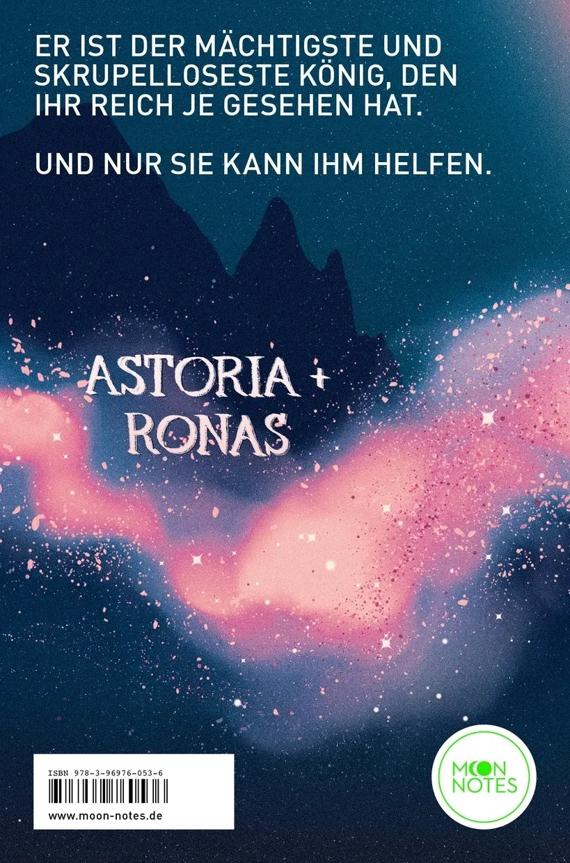 Buchrückseite von 'Crown of Light and Darkness' mit Klappentext - Paperback