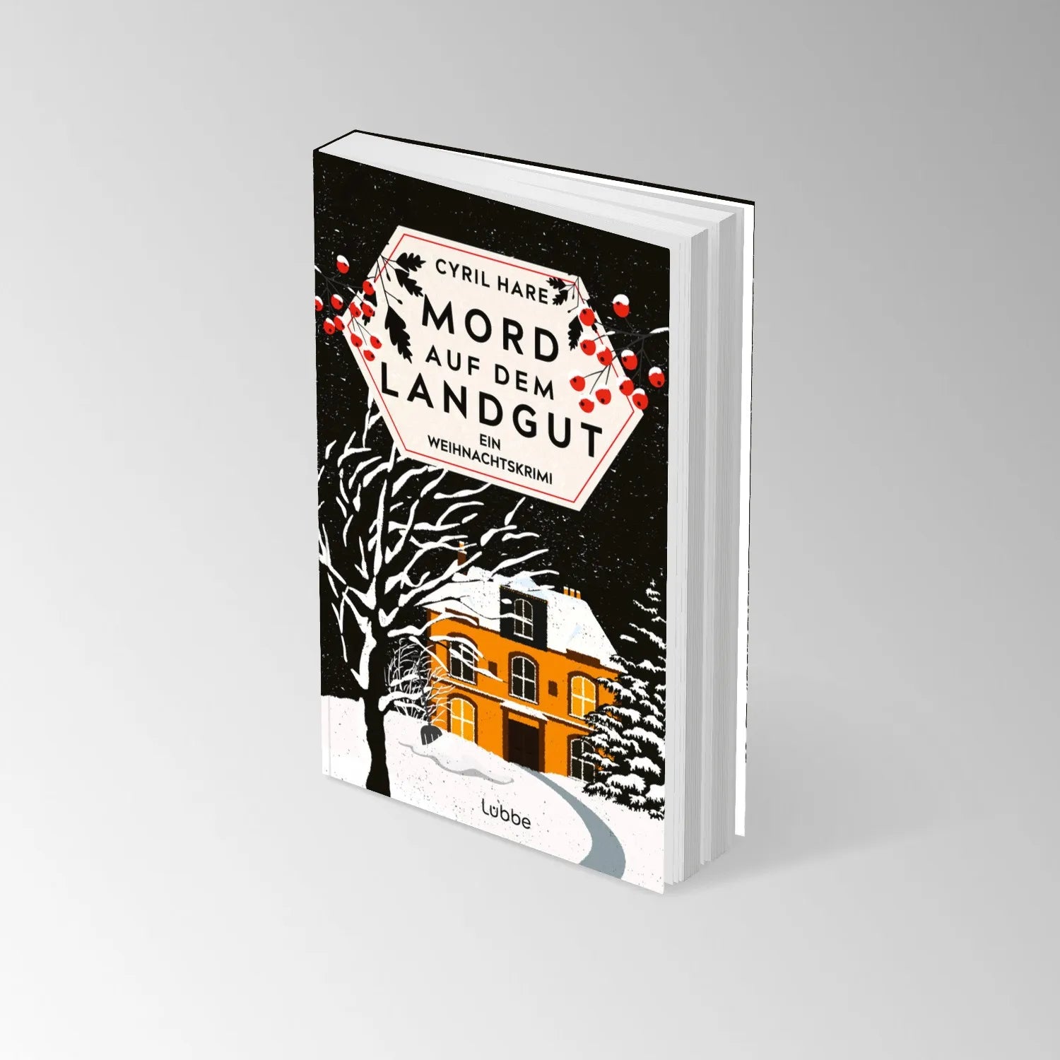 Produktansicht: Mord auf dem Landgut (Taschenbuch)