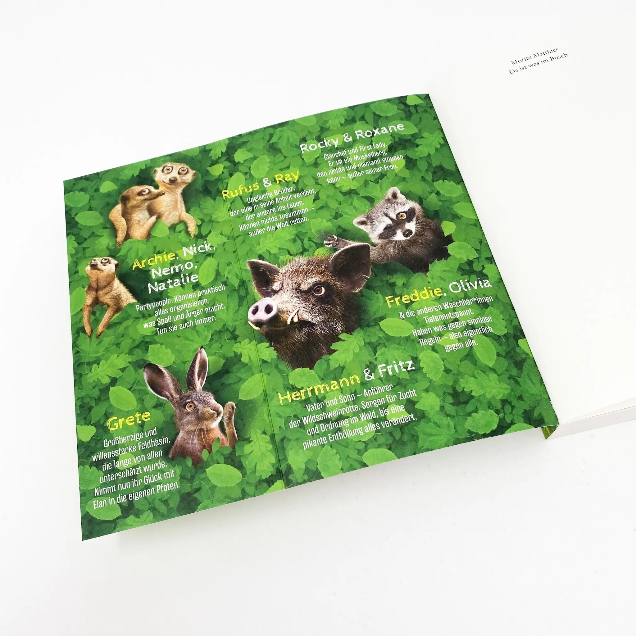 Produktansicht: Da ist was im Busch (Taschenbuch)