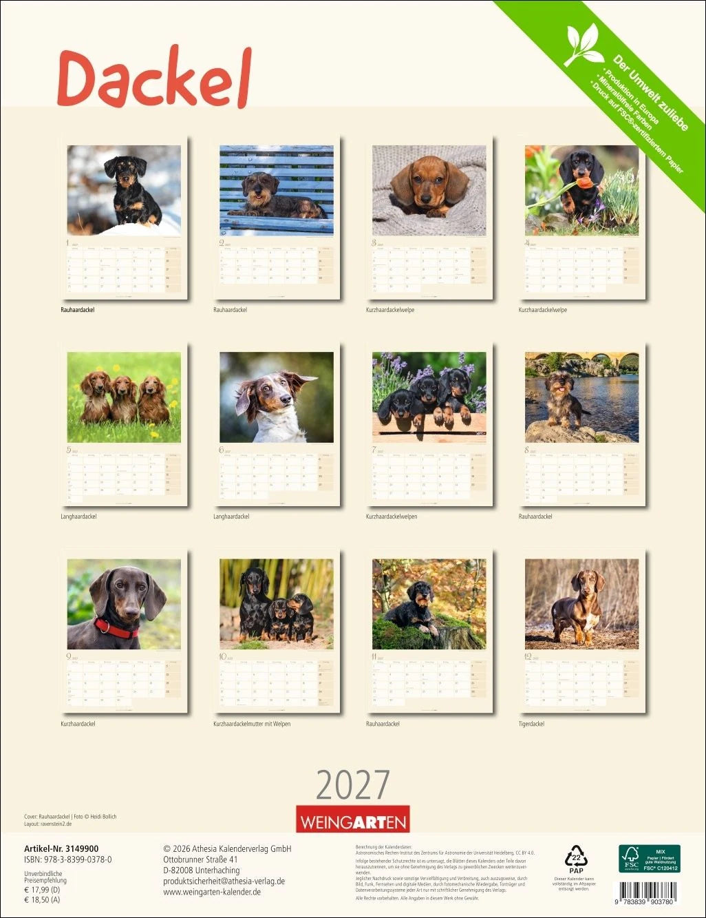 Dackel Kalender 2027 – Ansicht