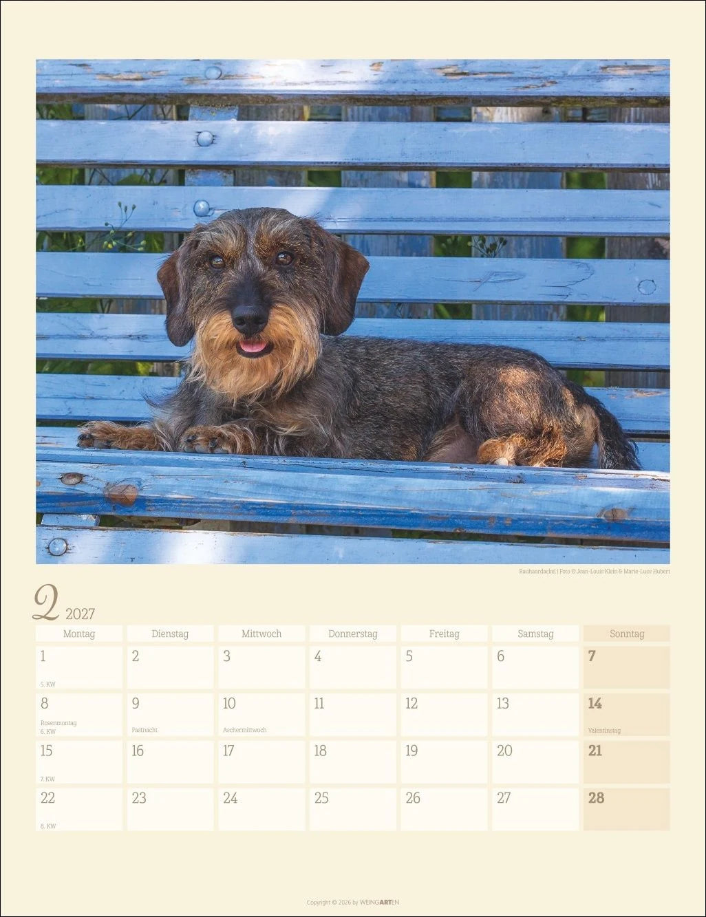 Dackel Kalender 2027 – Ansicht