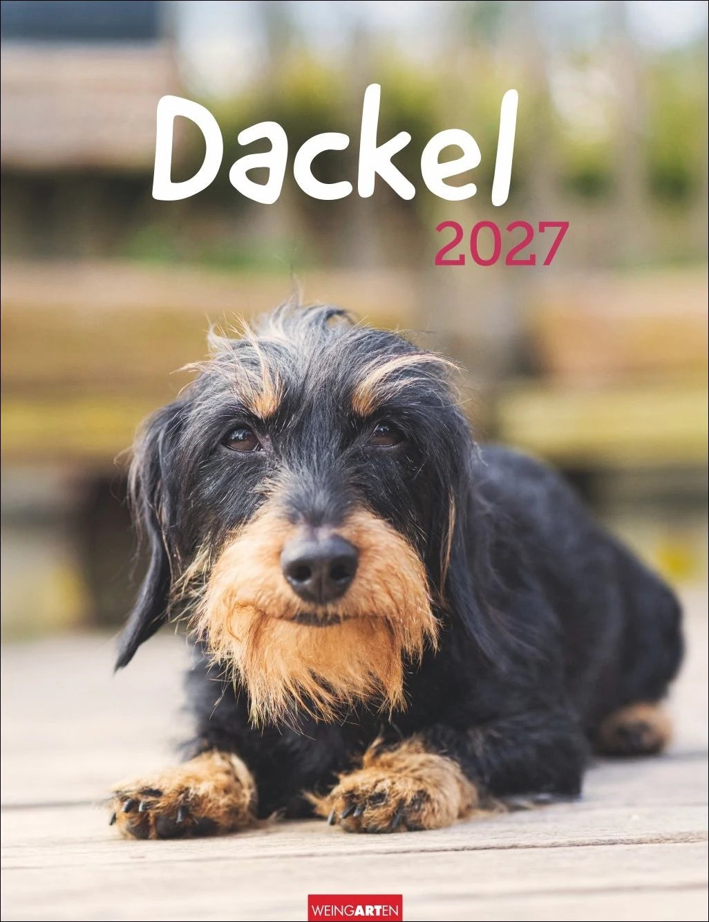 Wandkalender: Dackel Kalender 2027