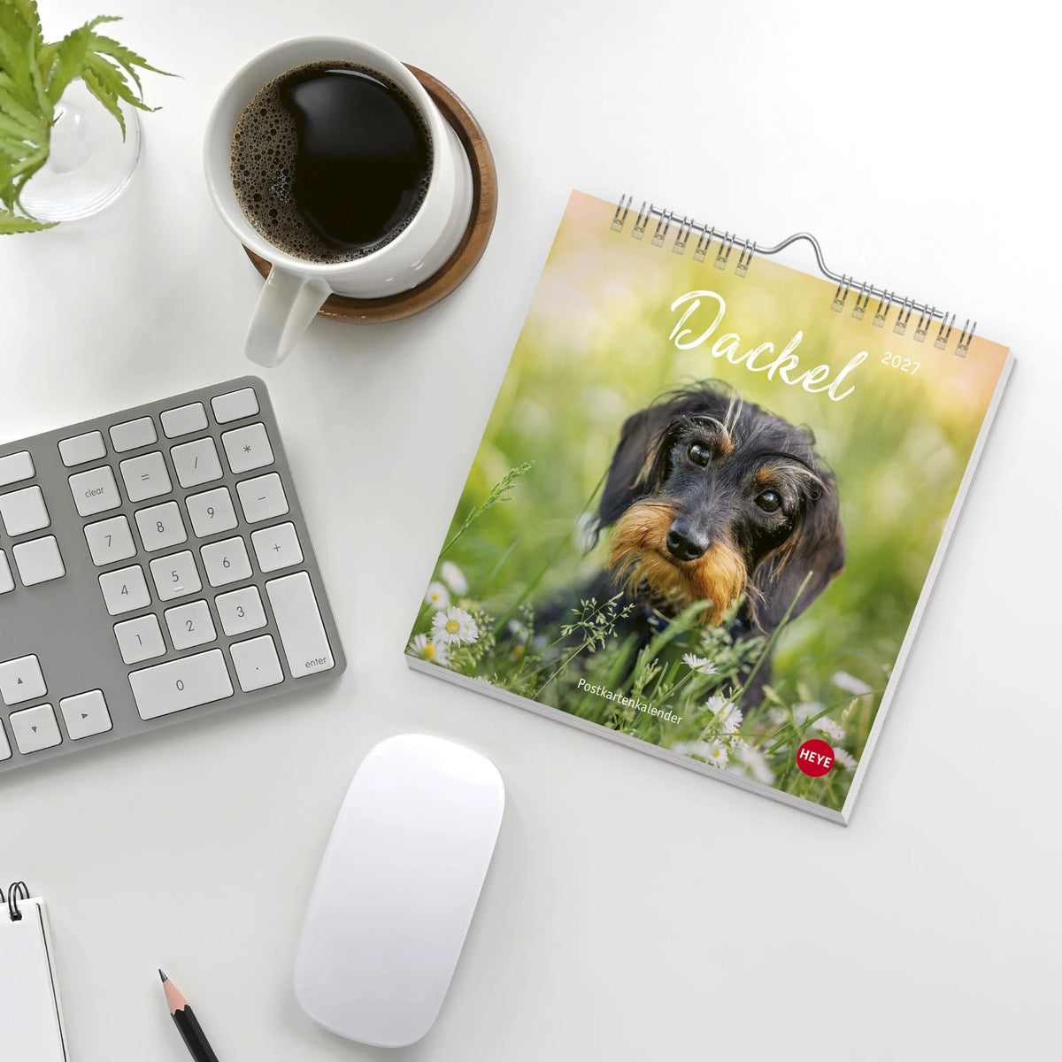 Dackel Postkartenkalender 2027 – Ansicht