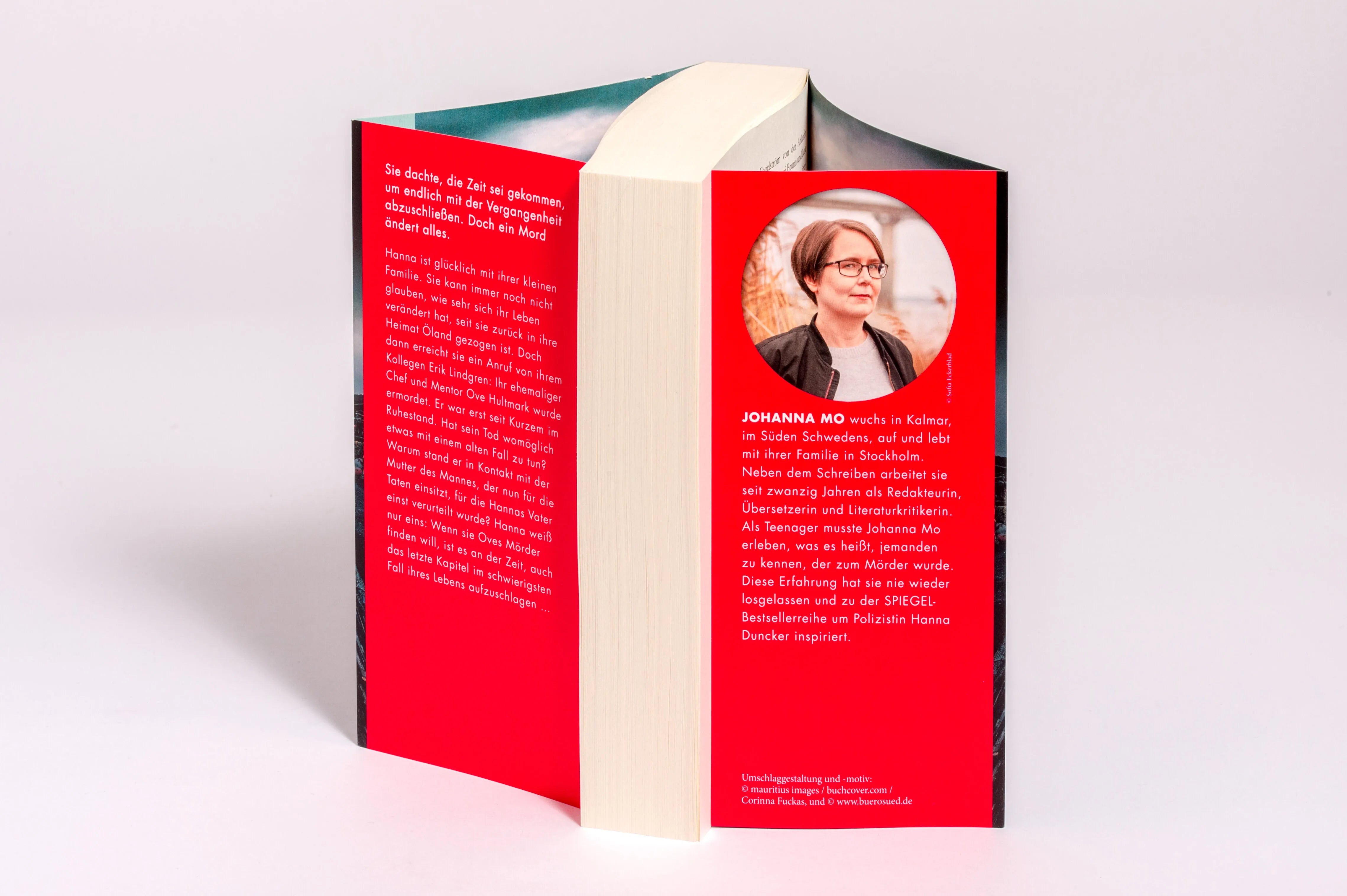 Detailansicht: Dämmersee (E-Book)