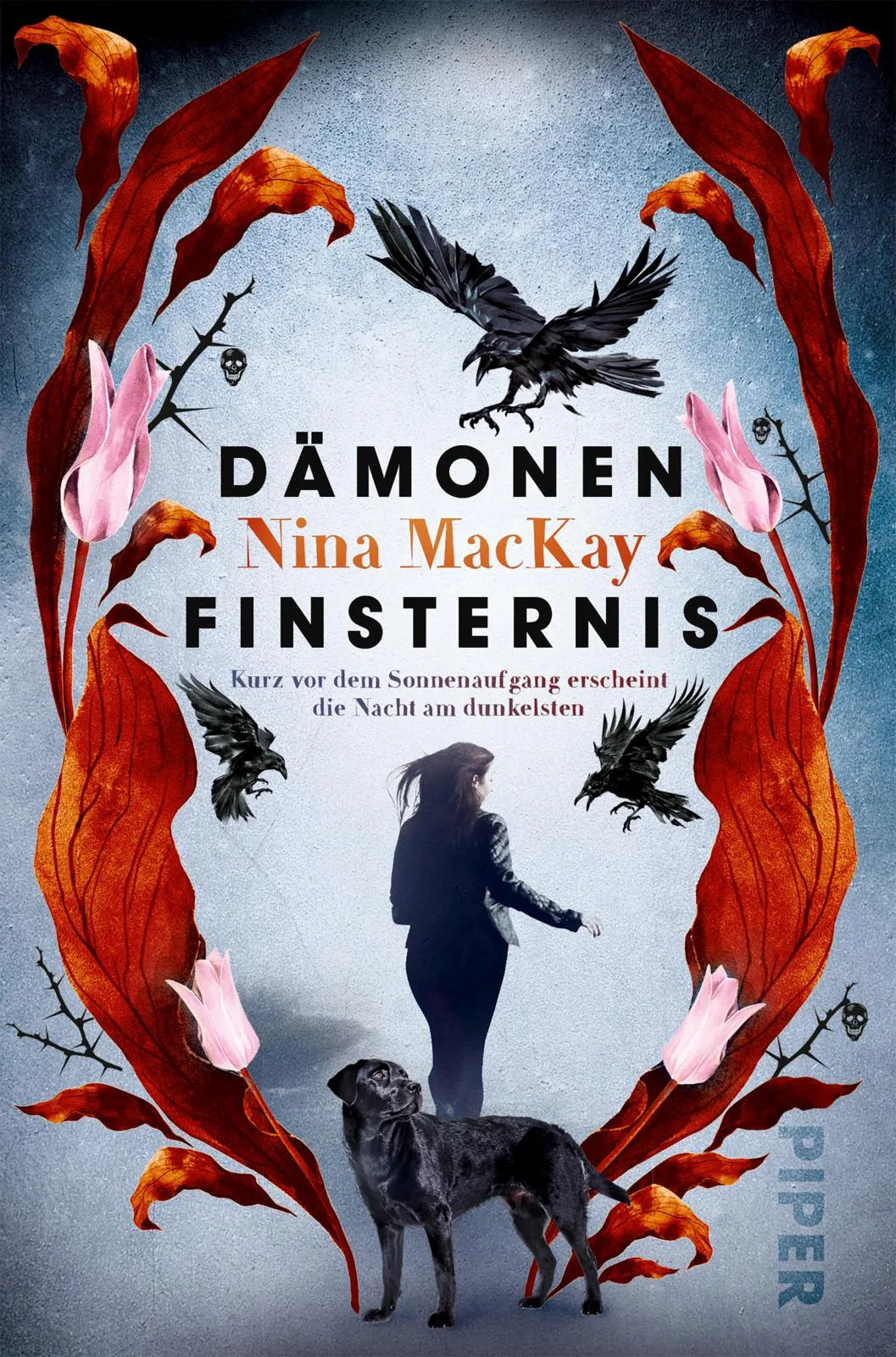 Buchcover von 'Dämonenfinsternis' - Taschenbuch von Nina MacKay