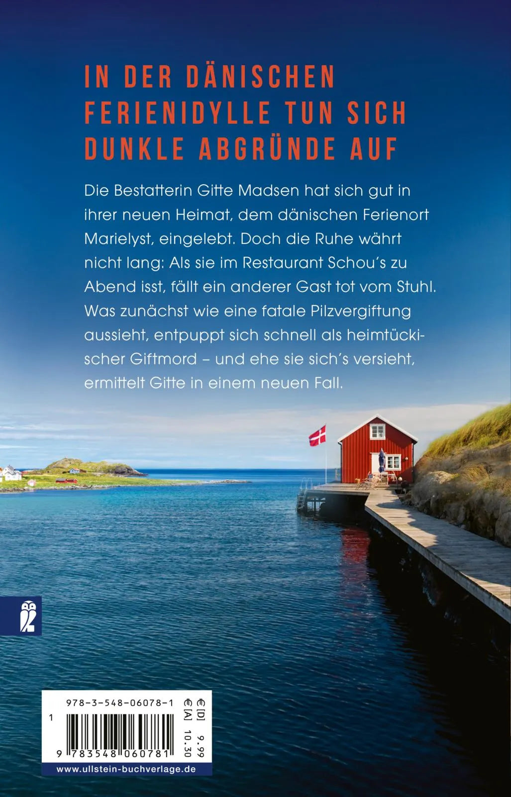 Buchrückseite von 'Dänische Schuld' mit Klappentext - Taschenbuch