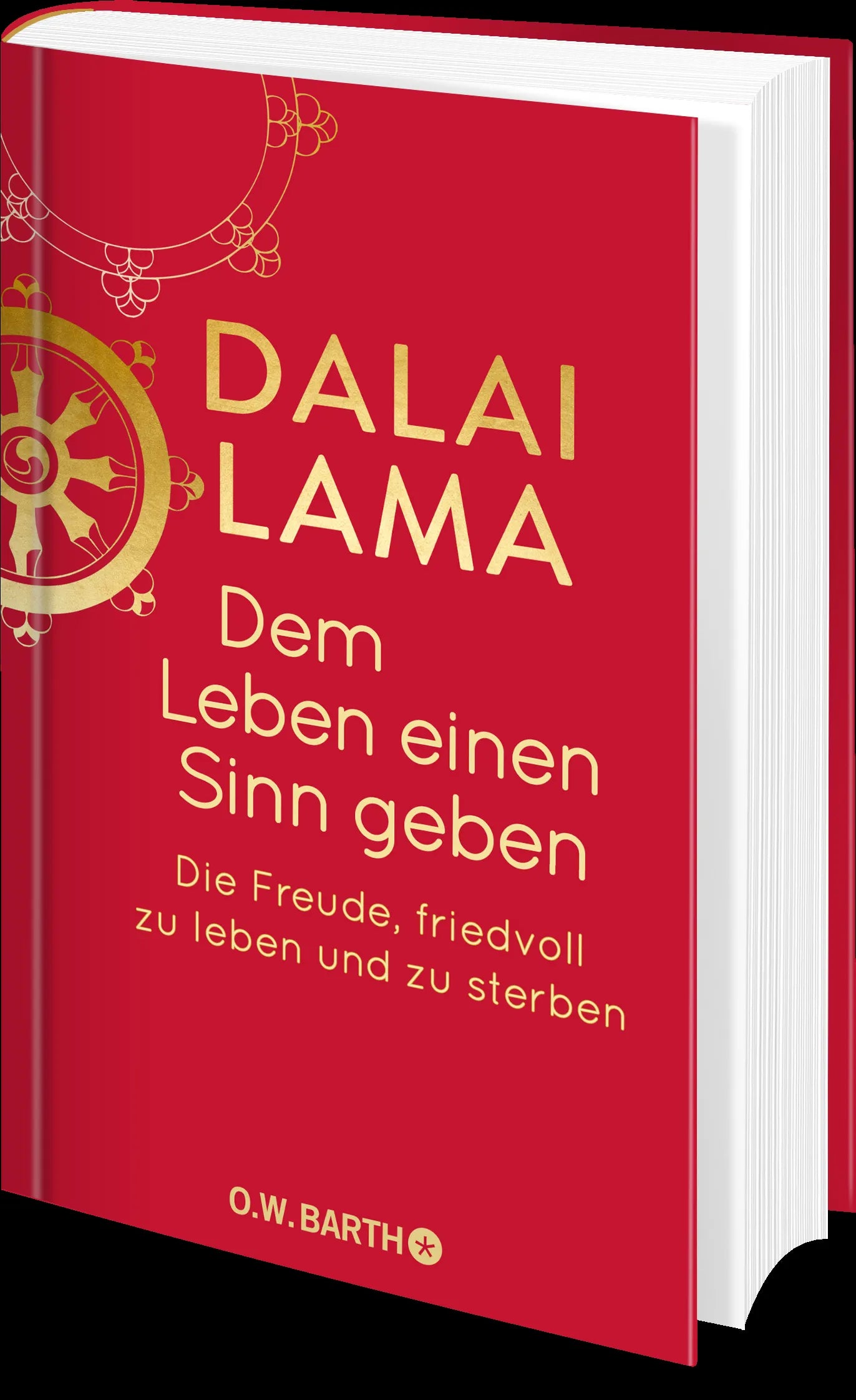 Produktansicht: Dem Leben einen Sinn geben (Gebundene Ausgabe)