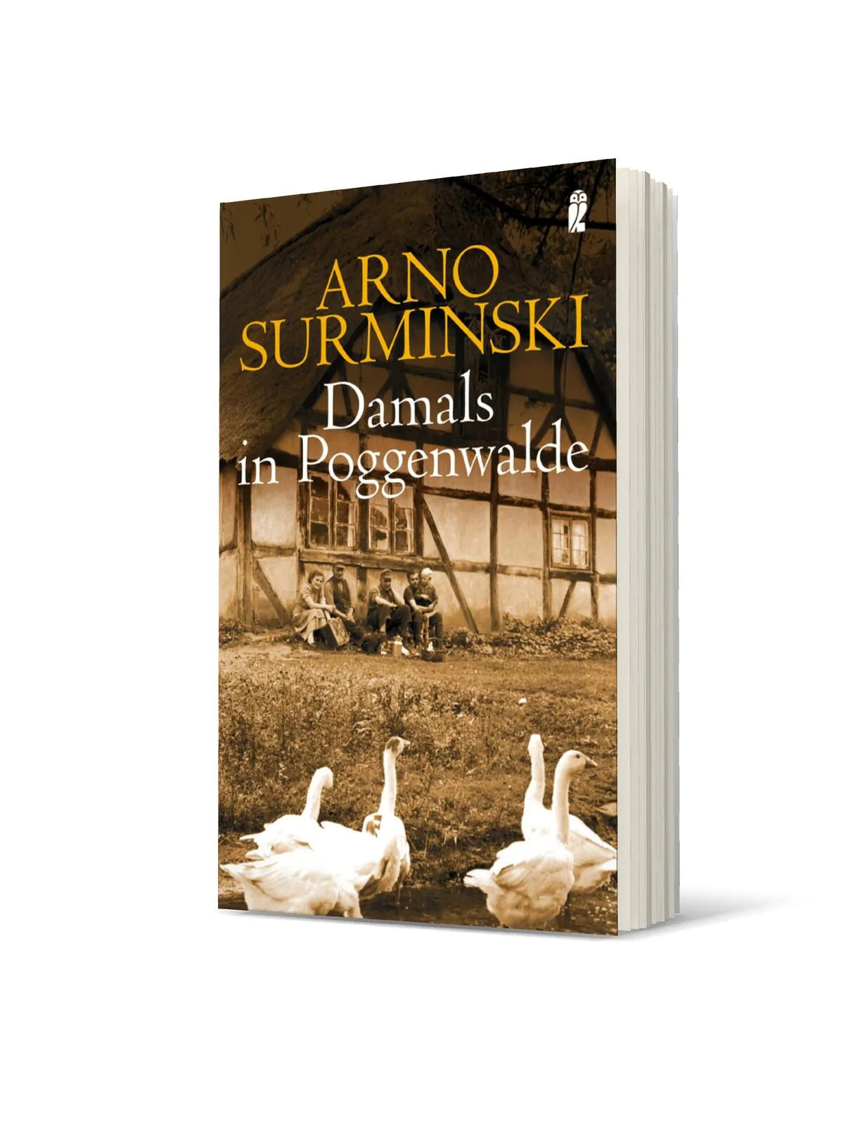 Produktansicht: Damals in Poggenwalde (Taschenbuch)