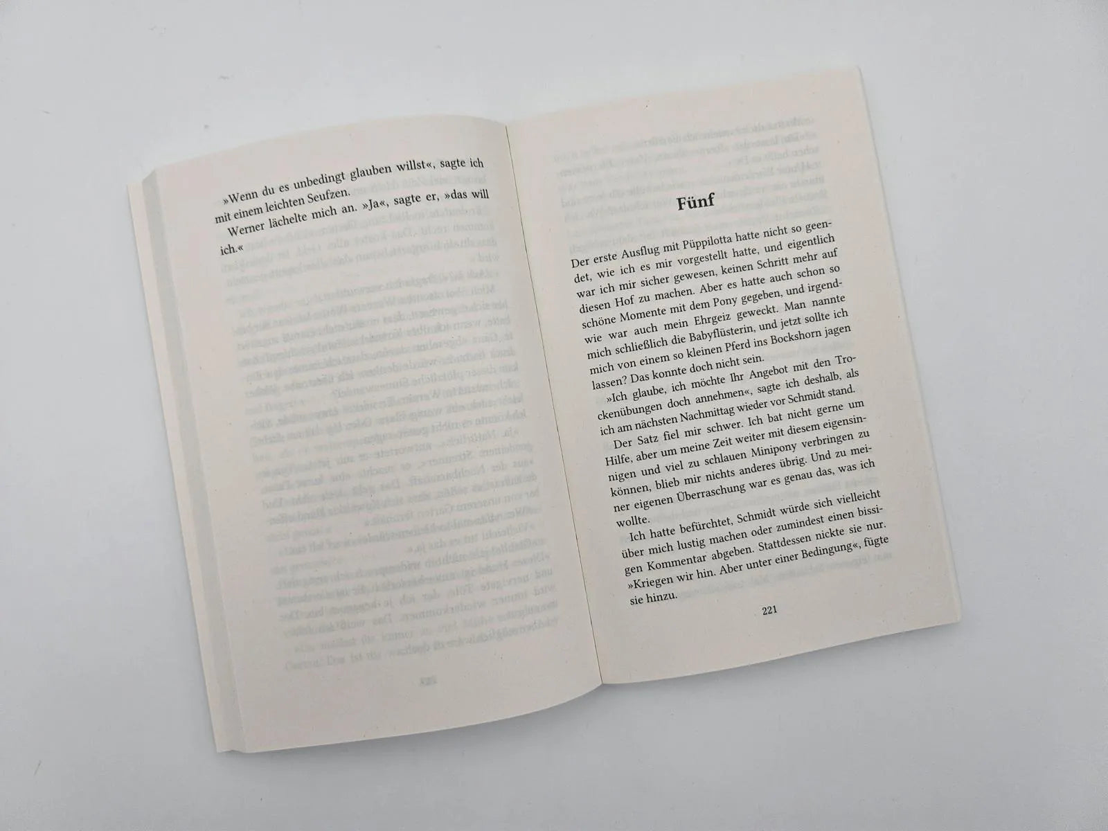 Produktansicht: Weihnachtschaos auf vier Hufen (Taschenbuch)