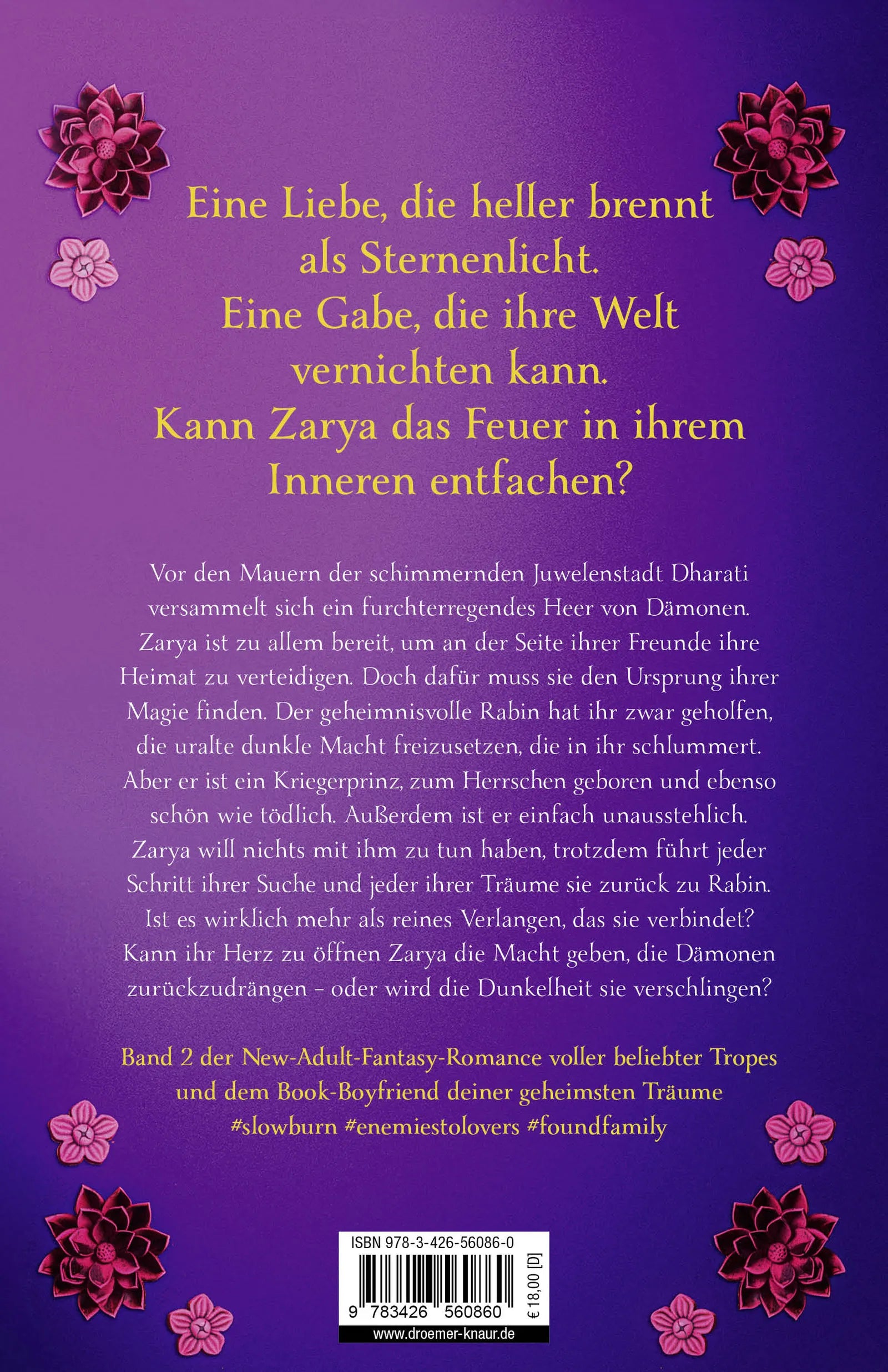 Rückseite: Dance of Stars and Ashes (Paperback)