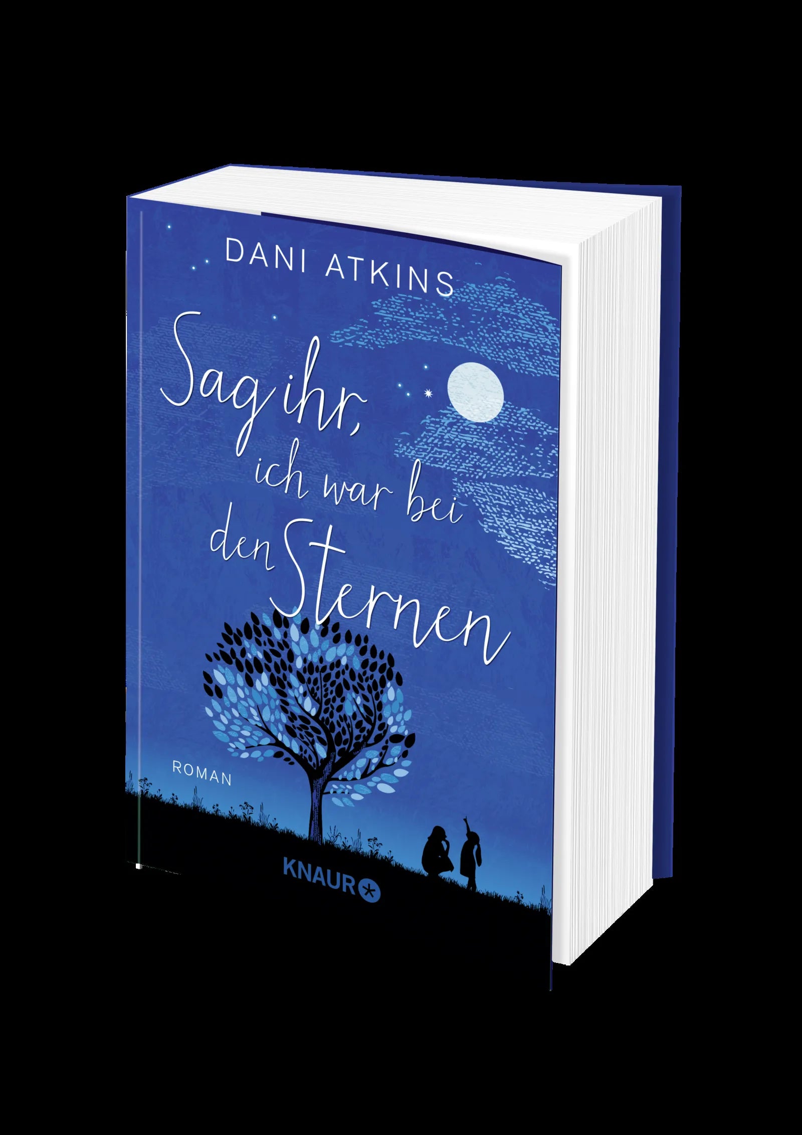 Produktansicht: Sag ihr, ich war bei den Sternen (Taschenbuch)