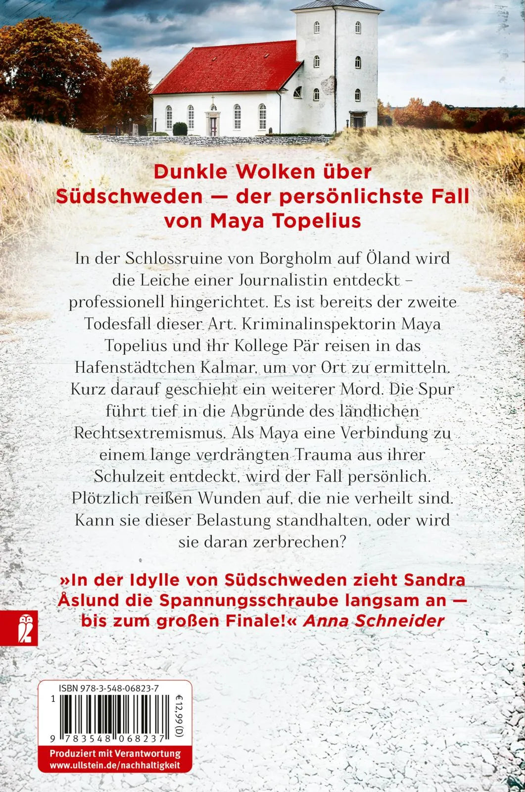 Buchrückseite von 'Dann ruhest auch du' mit Klappentext - Taschenbuch