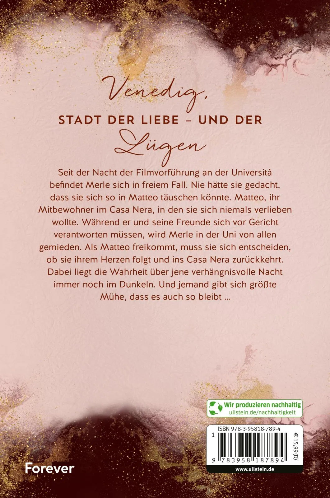 Buchrückseite von 'Dark Venice. Silent Haze' mit Klappentext - Paperback