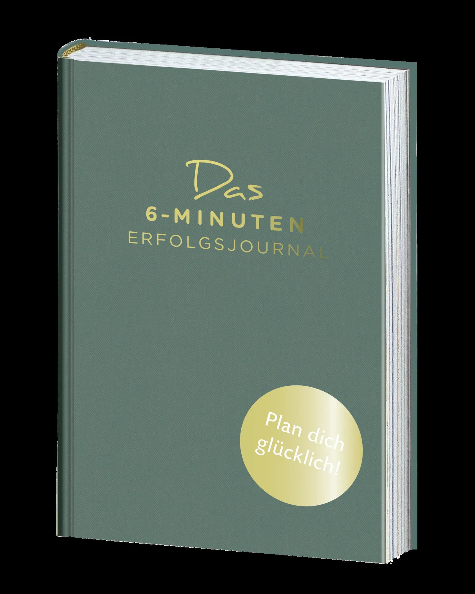 Dominik Spenst - Das 6-Minuten-Erfolgsjournal