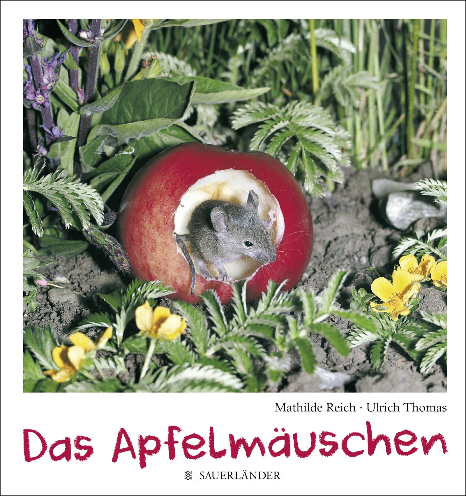 Buchcover von 'Das Apfelmäuschen' - Gebundene Ausgabe von Mathilde Reich