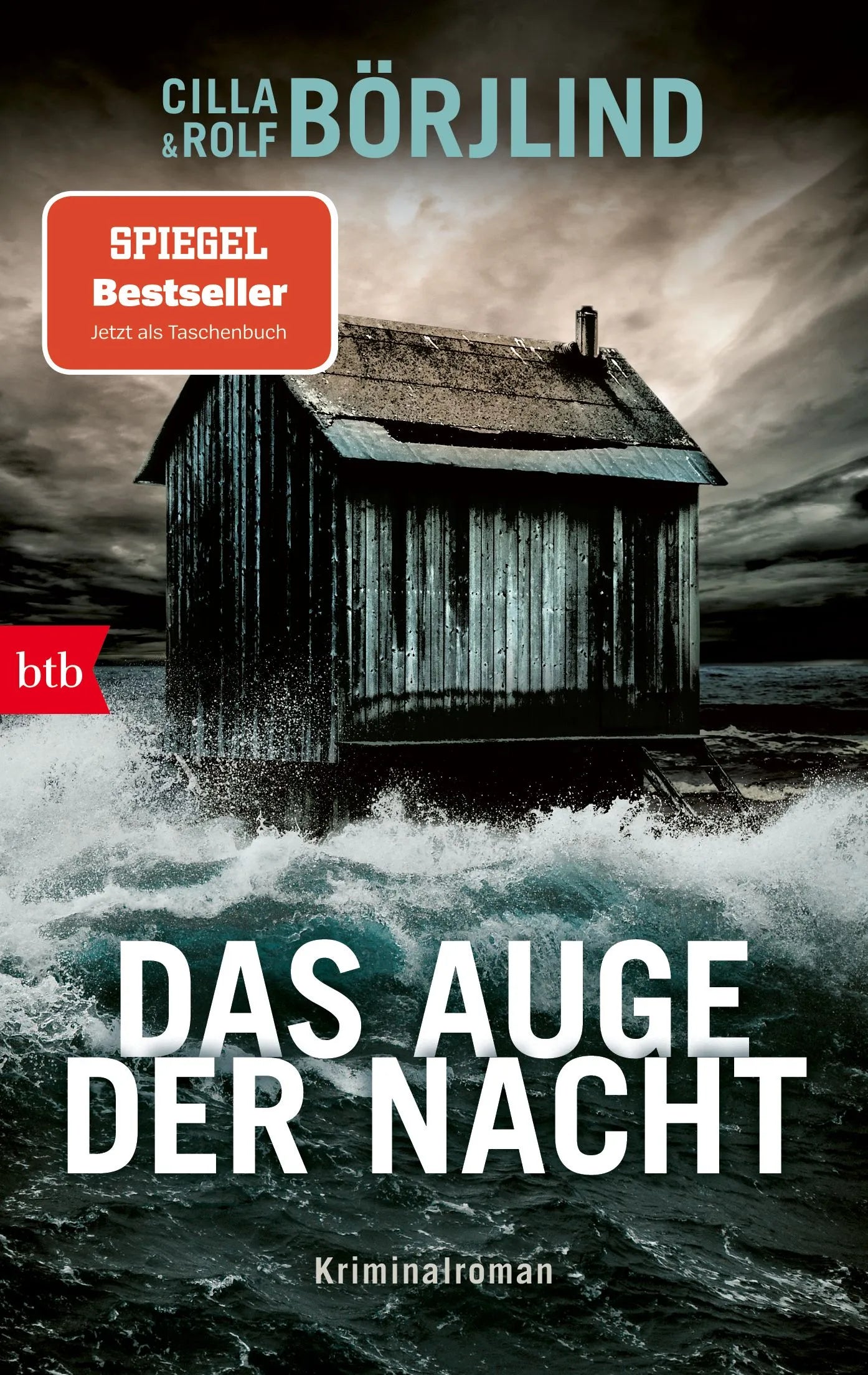 Cover: Das Auge der Nacht (Taschenbuch) von Cilla Börjlind