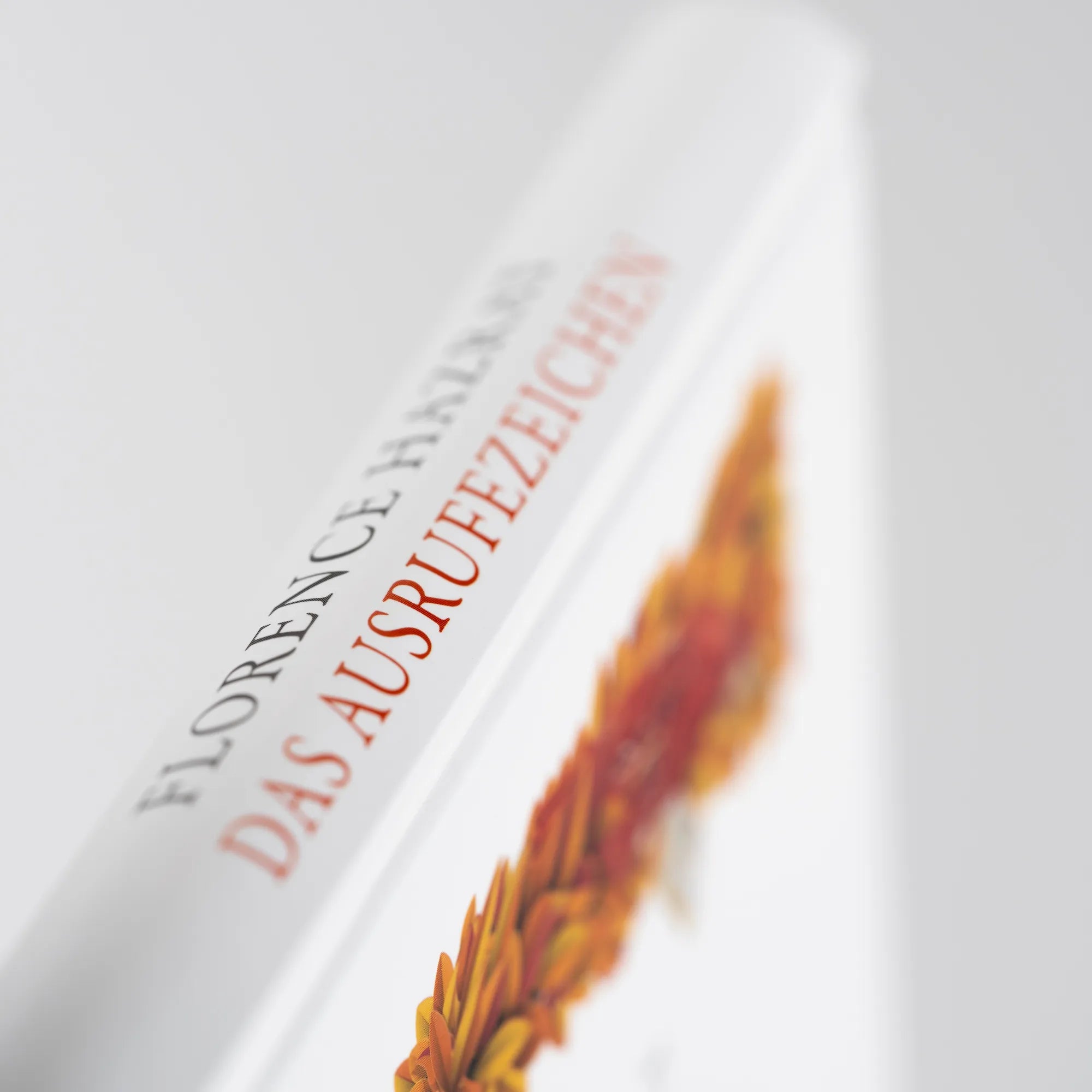 Produktansicht: Das Ausrufezeichen. Eine rebellische Geschichte (Gebundene Ausgabe)