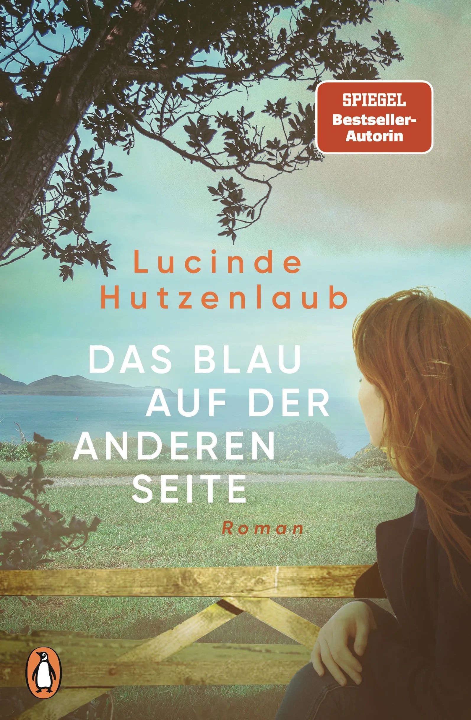 Cover: Das Blau auf der anderen Seite (Paperback) von Lucinde Hutzenlaub