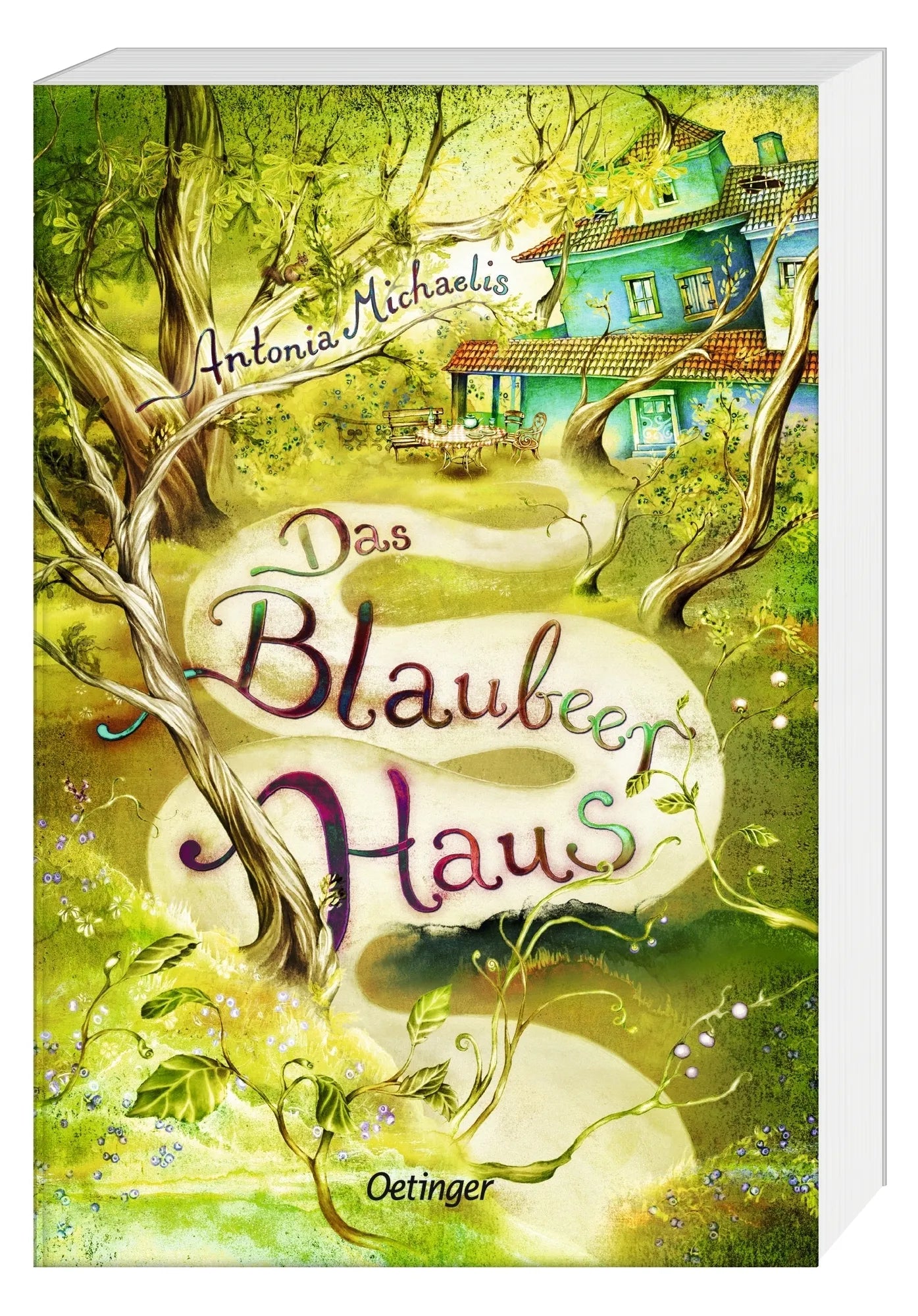 Produktansicht: Das Blaubeerhaus (Taschenbuch)