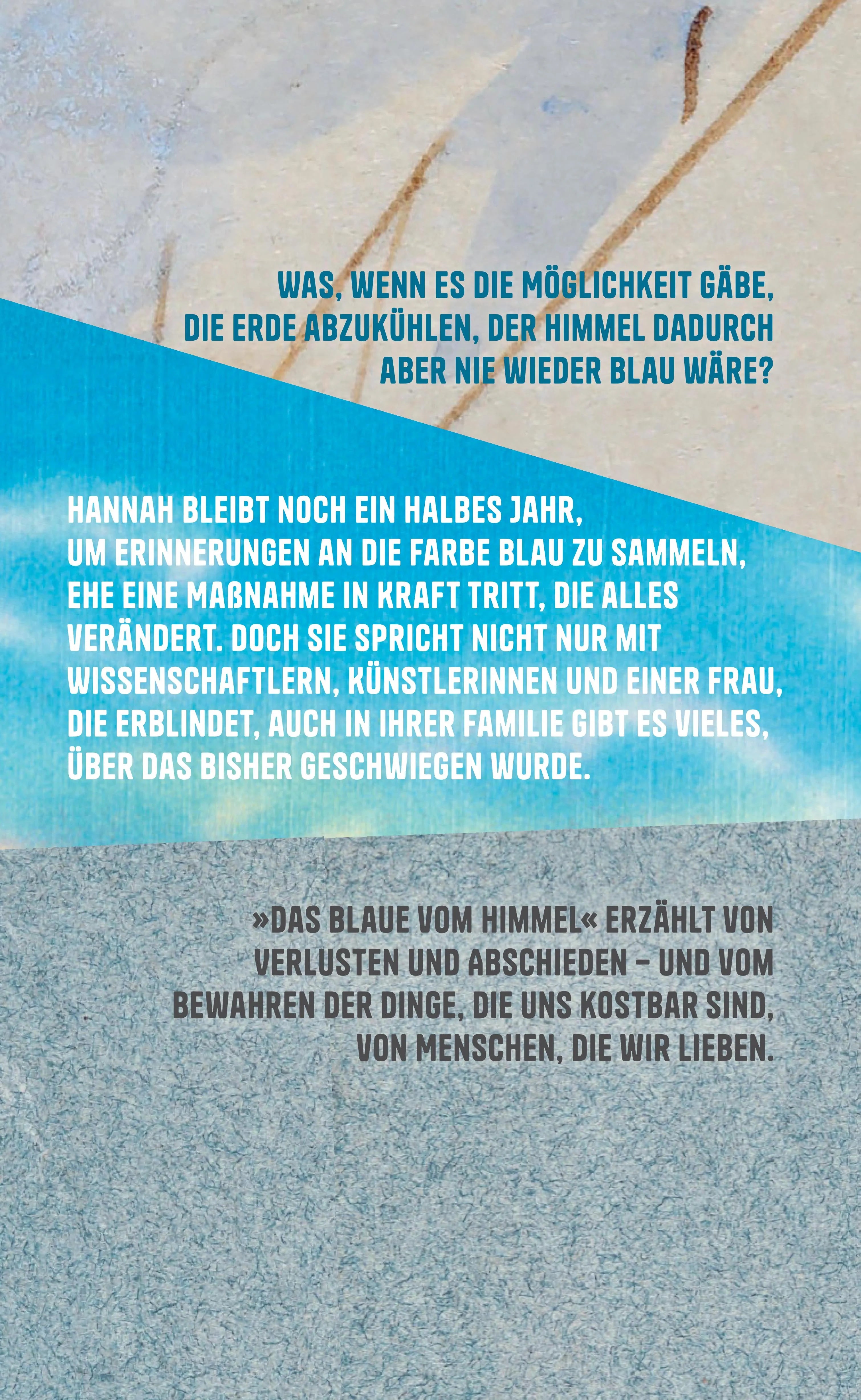 Rückseite: Das Blaue vom Himmel (Hardcover)