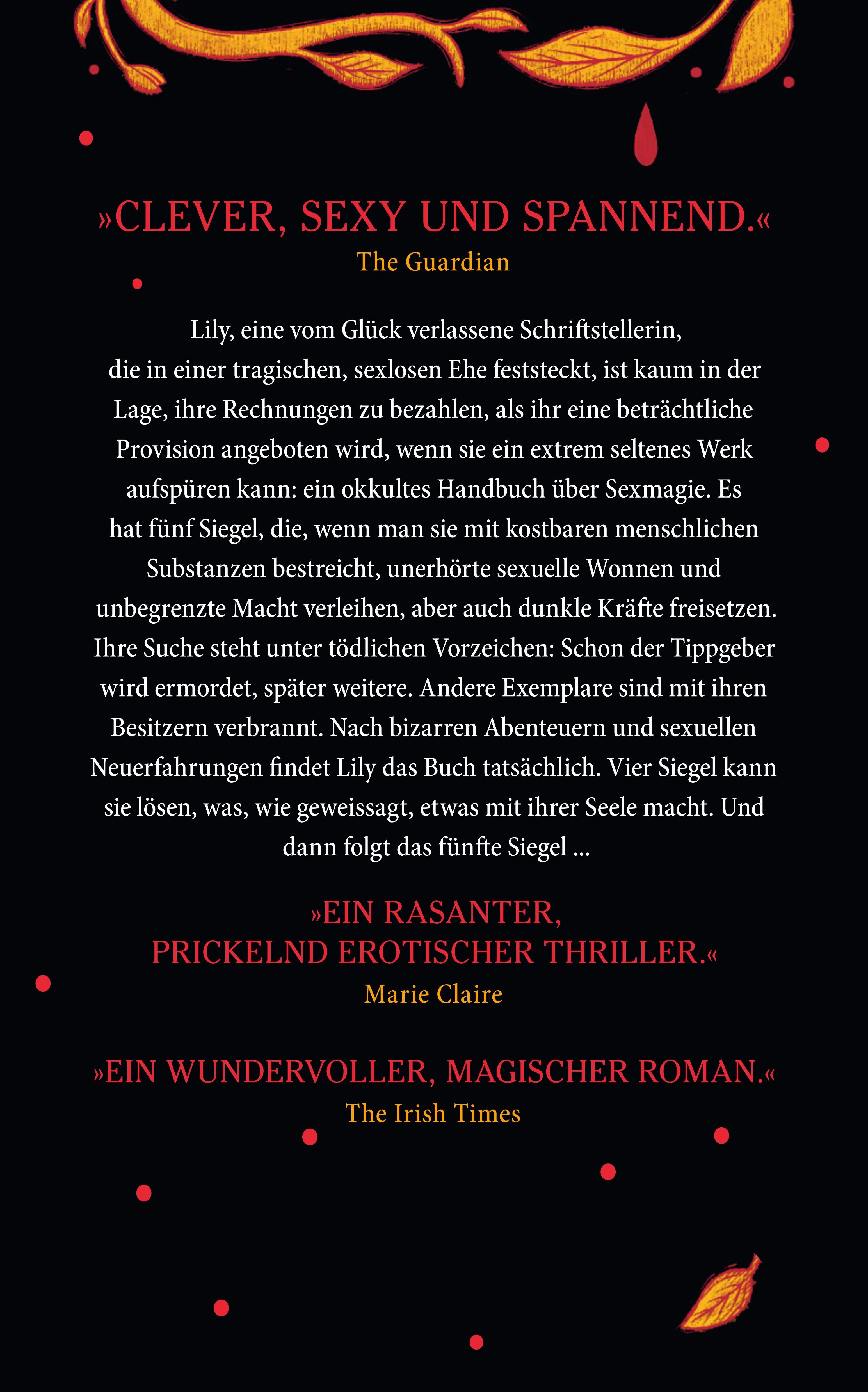 Buchrückseite von 'Das Buch der kostbarsten Substanz' mit Klappentext - Paperback