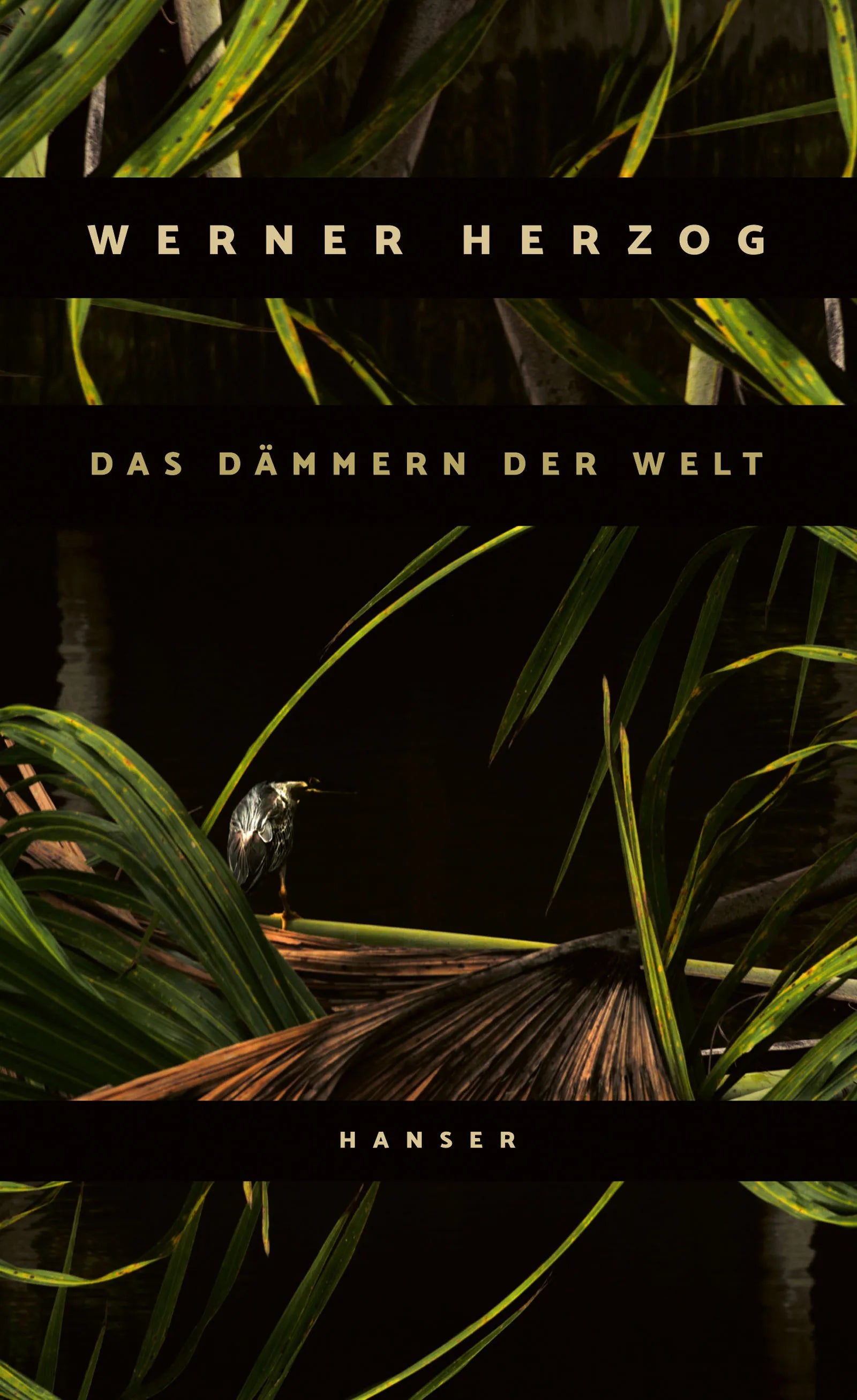 Buchcover von 'Das Dämmern der Welt' - Gebundene Ausgabe von Werner Herzog