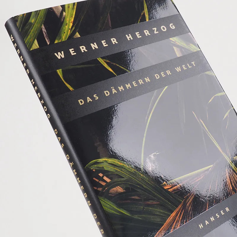 Produktansicht: Das Dämmern der Welt (Gebundene Ausgabe)